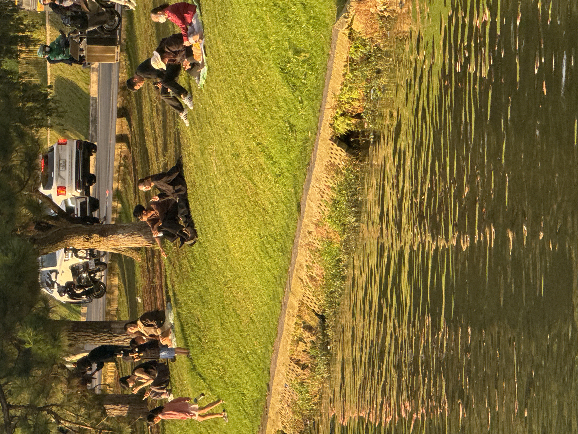 The image depicts a sunny day at Xuan Huong Lake in Da Lat, Vietnam, a popular tourist destination. Several people are enjoying the parkland, picnicking and relaxing on the grass. In the foreground, the calm waters of the lake reflect the sunlight, creating a shimmering effect.
On the grassy bank, a young girl in a pink dress walks towards the left of the frame, holding a bottle. Further back, a group of people are seated on the grass. One person, wearing a black top and pants, is playing on a mobile phone. Beside them, a woman in a yellow top and dark pants also appears engaged with her phone. Another individual, dressed in a black top and brown pants, is sitting with a camera on their lap. A woman in a beige hat and a white top is seated on a light green blanket, looking down. Next to her, a woman in a red jacket and light pants is also seated on the blanket, and a small orange cat is visible between them.
In the background, several motorcycles are parked on a paved road. One person is riding a motorcycle wearing a green helmet. A white SUV is also visible on the road. Trees, providing shade, are scattered across the parkland, with their leaves illuminated by the sun. The overall scene conveys a sense of leisure and community enjoying the natural beauty of the lake.
