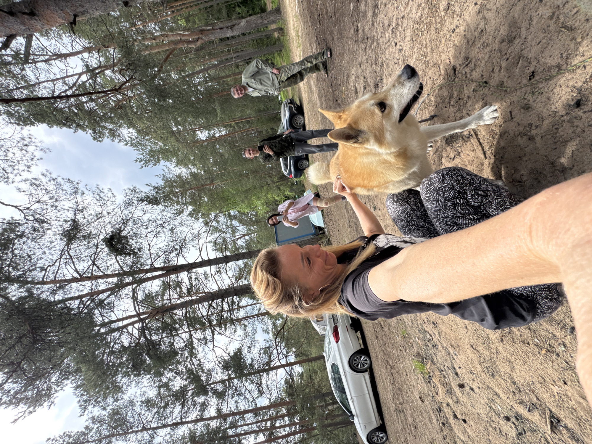 The image depicts an outdoor scene in a sandy clearing within a pine forest, identified as Zelenaya Roshcha, Russia. In the immediate foreground, a person with blonde hair, wearing a black t-shirt and black and white patterned leggings, crouches down, extending their right arm to capture a selfie. This individual is actively petting a medium-sized dog with light brown fur and pointed ears, which stands next to them, looking towards the right side of the frame.
In the midground, from left to right, three additional individuals are present. A woman in a light-colored (possibly pink) long-sleeved shirt and shorts with a knee brace on her right knee stands, holding a phone and smiling towards the foreground. To her right, a man in a dark green or camouflage-patterned long-sleeved shirt and dark pants stands, also holding a phone. Further to the right, a man with grey hair, wearing an olive green long-sleeved shirt, camouflage pants, and sandals, stands with his hand on his hip. All three individuals in the midground appear to be observing or interacting with the foreground activity.
The background consists of a dense pine forest with numerous tall, slender tree trunks and green canopies extending upwards. Two vehicles are visible: a white sedan (BMW) parked facing left in the left-mid background, and a dark SUV partially visible behind the central man, parked facing right. A blue object, possibly a tent or part of a vehicle, is partially visible on the far left. The ground is primarily light brown sand with scattered dark debris and minimal vegetation. The sky is overcast or partly cloudy, indicating diffused natural light.