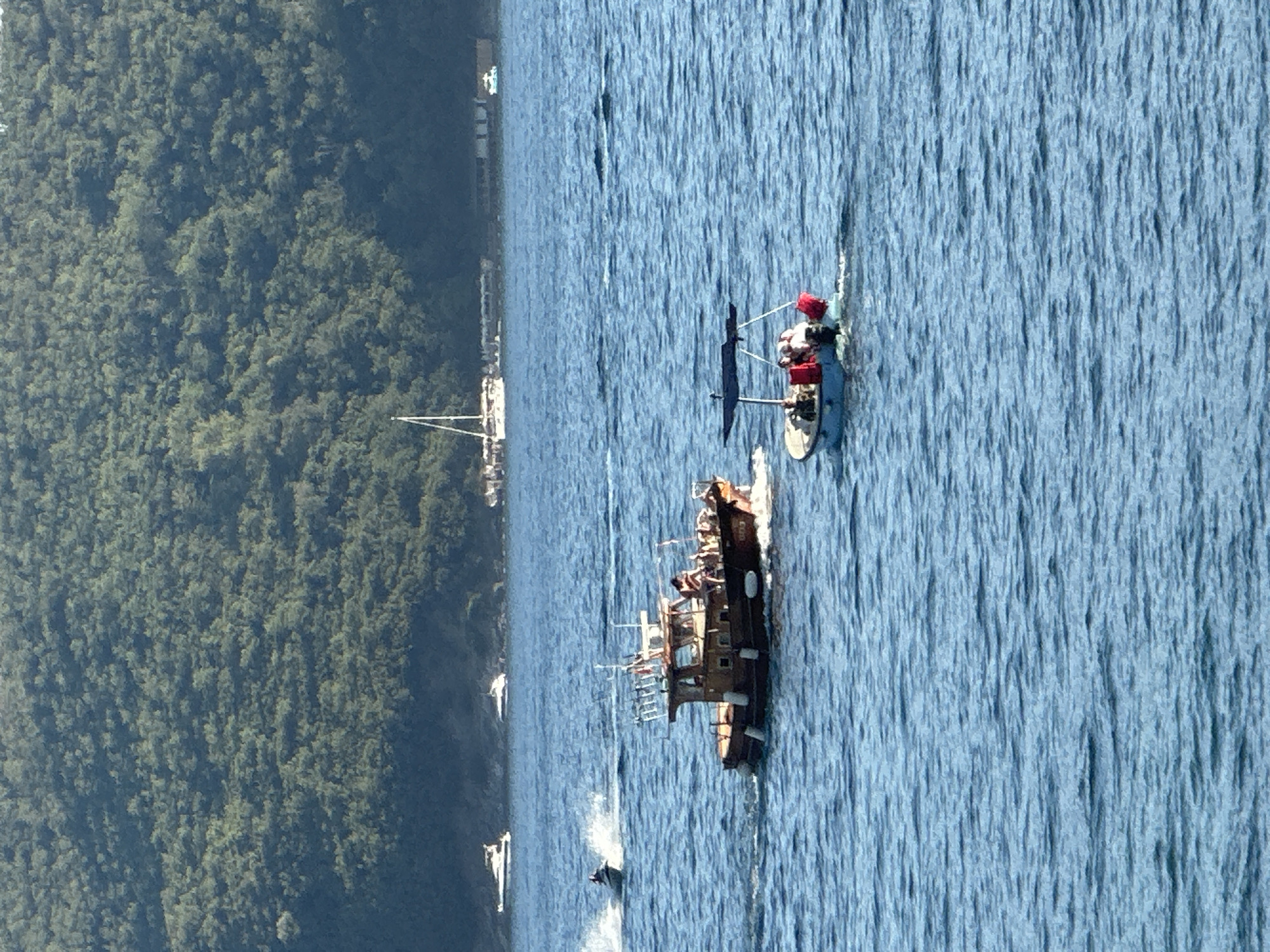 The image shows a body of water with several boats and a forested hill in the background. In the foreground, there are two boats. The boat on the left is a larger, wooden vessel with several people on board. It is moving through the water, creating a wake. To the left of this boat, a jet ski is visible, also creating a wake. The boat on the right is smaller and appears to be a dinghy with a canopy. Several people are seated in this boat as well, and it is also moving through the water. In the middle ground, there are several other boats, including a sailboat with its mast visible. The background consists of a densely forested hillside, which slopes down towards the water. The water itself is blue and appears to be somewhat choppy, with small waves. The scene is set in the city of Budva, Montenegro, a popular tourist destination known for its coastal beauty and historical sites. The image captures a sunny day with clear visibility.
