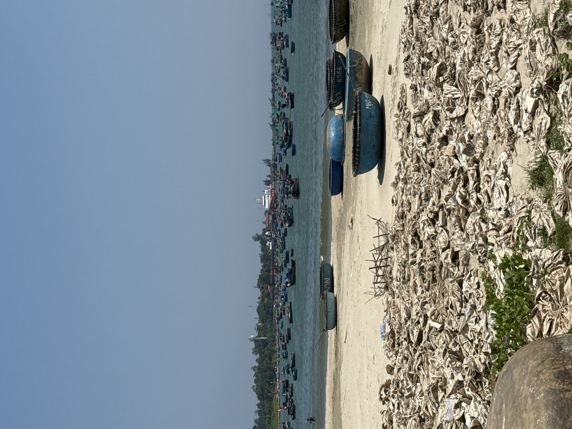The image depicts a coastal scene, likely near the city of Đà Nẵng, Vietnam. The foreground shows a sandy beach littered with what appears to be drying marine life, possibly squid or fish, spread out across a large area. Several traditional Vietnamese fishing boats, recognizable by their distinctive round shape and woven construction, are situated on the beach. The water is populated with numerous other fishing vessels, indicating a busy fishing community. The background reveals a coastline with greenery and a hazy blue sky. The overall scene suggests a working beach environment dedicated to seafood processing and fishing activities.