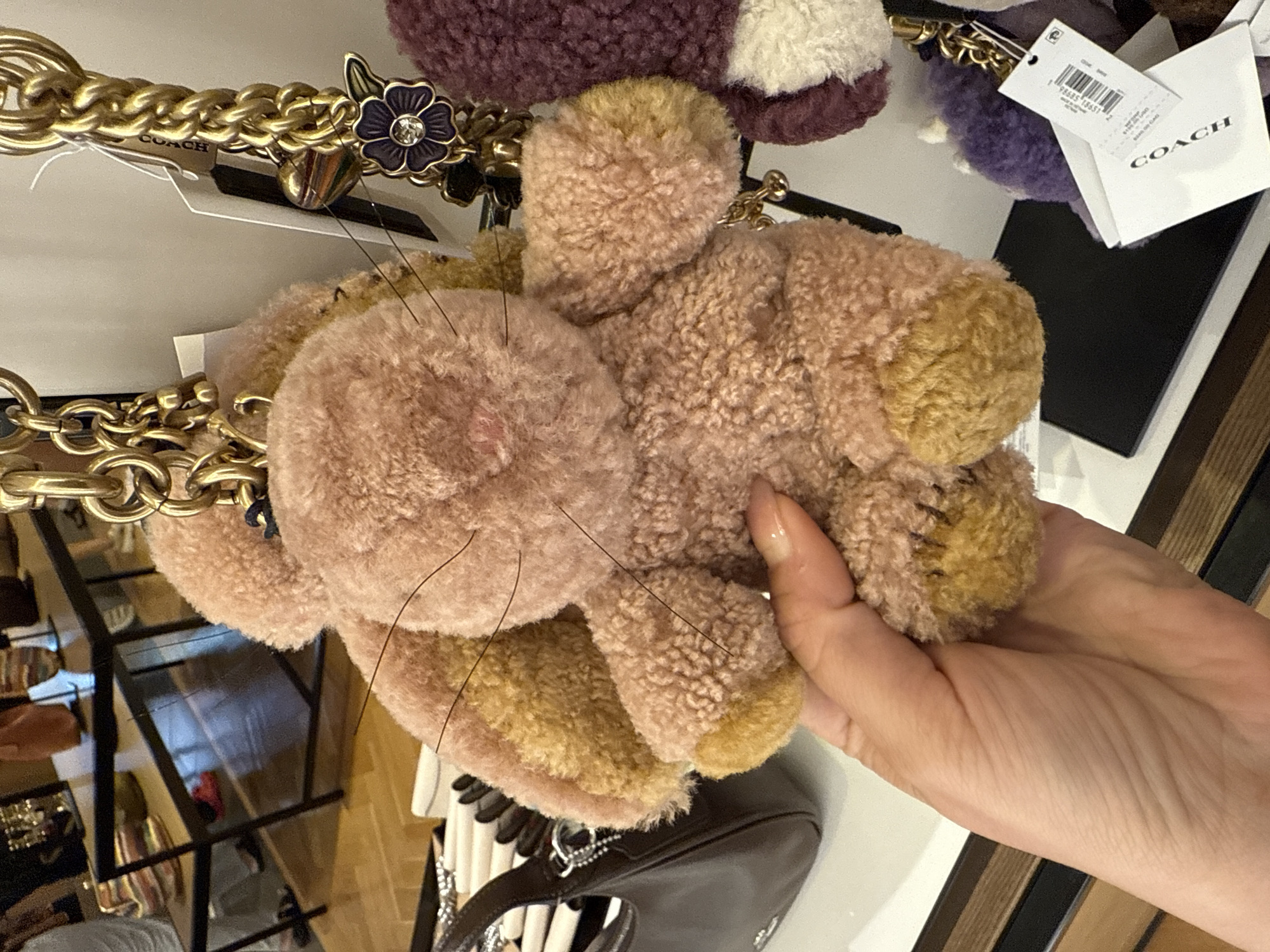 A hand holds a pink and yellow plush toy in front of a store display, with a Coach tag visible on a nearby item. The location appears to be within the city of Sunrise, United States of America. The background shows a retail environment, including shelving and other merchandise.