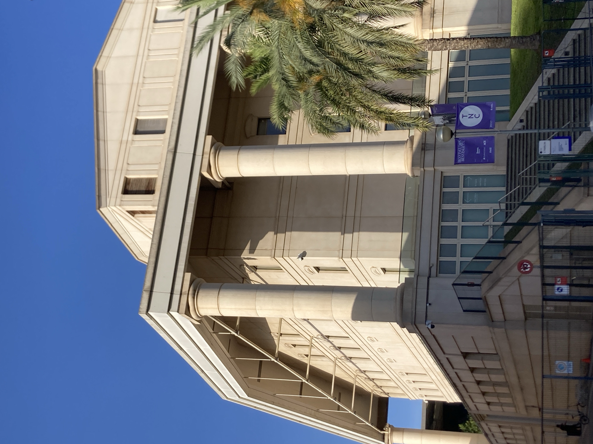 The image shows the Teatre Nacional de Catalunya (TNC) in Barcelona, Spain. The building is characterized by its classical architectural style, featuring large, light-colored columns and a multi-story facade with numerous windows. A palm tree is visible in the foreground, partially obscuring the building. The sky is a clear, vibrant blue. In the lower part of the image, there are stairs leading up to the building's entrance, flanked by metal railings and fences. Several banners with purple and white designs are attached to lampposts near the stairs. A security camera is mounted on the side of the building. In the lower left corner, a person is walking next to a bicycle, and a red traffic cone is visible near the fence. The scene appears to be a sunny day, with shadows cast by the building and palm tree.