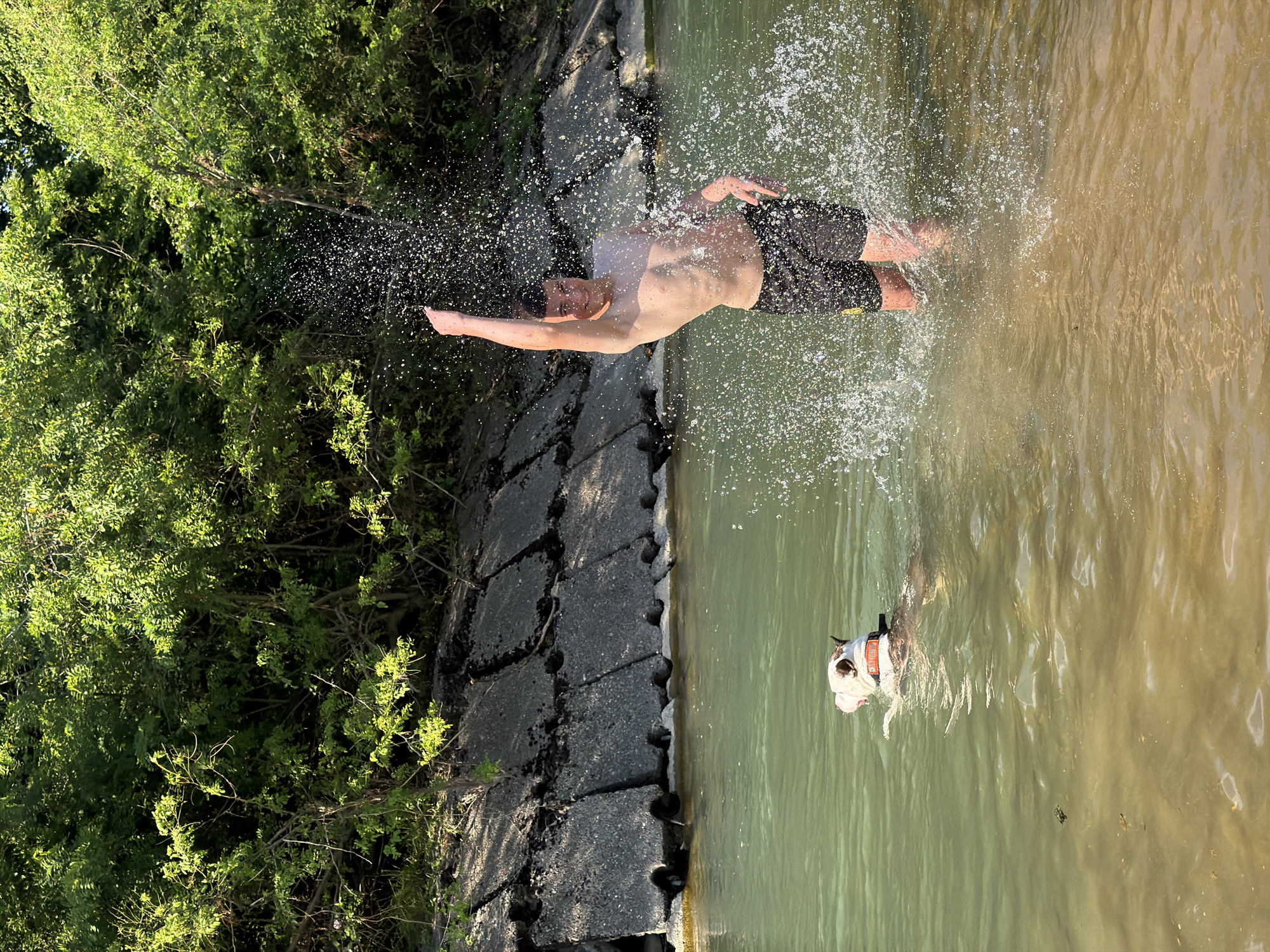 A young man is in shallow water, possibly a river or lake, and is throwing water. He is wearing black swim trunks with a yellow stripe. A dog is in the water to the left of the man, swimming and looking to the right. The dog is wearing a white bandana. The background consists of a concrete embankment topped with lush green trees. The sun is shining brightly, creating reflections on the water. The scene appears to be in a natural setting within or near the city of Krasnoye, Russia.