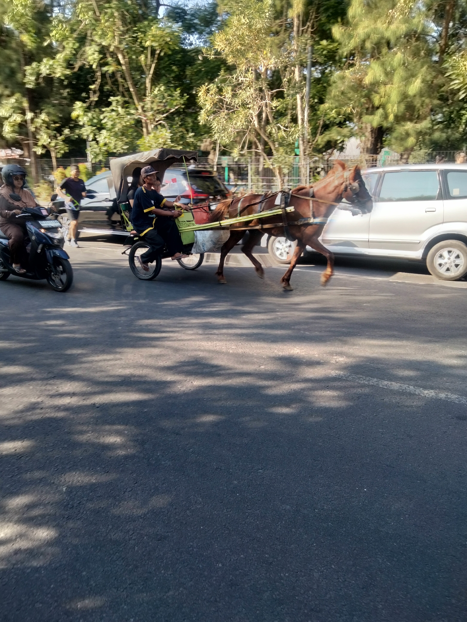 A horse-drawn carriage, known locally as a "gerobak kuda" or "andong," is seen in motion on a paved road in Surakarta, Indonesia. The carriage is pulled by a brown horse and is carrying at least two passengers and a driver. The driver, wearing a dark blue shirt with yellow trim and a dark cap, sits at the front, holding the reins. A passenger in a brown outfit is seated behind him. The carriage has a dark fabric canopy. To the left of the carriage, a woman wearing a helmet rides a dark-colored motorcycle. Behind the motorcycle, a person in a dark t-shirt and shorts walks. A silver SUV is visible to the right of the carriage, also on the road. The environment appears to be a city street with trees lining the background, suggesting an urban setting. The sun is casting shadows on the asphalt road, indicating it is daytime.