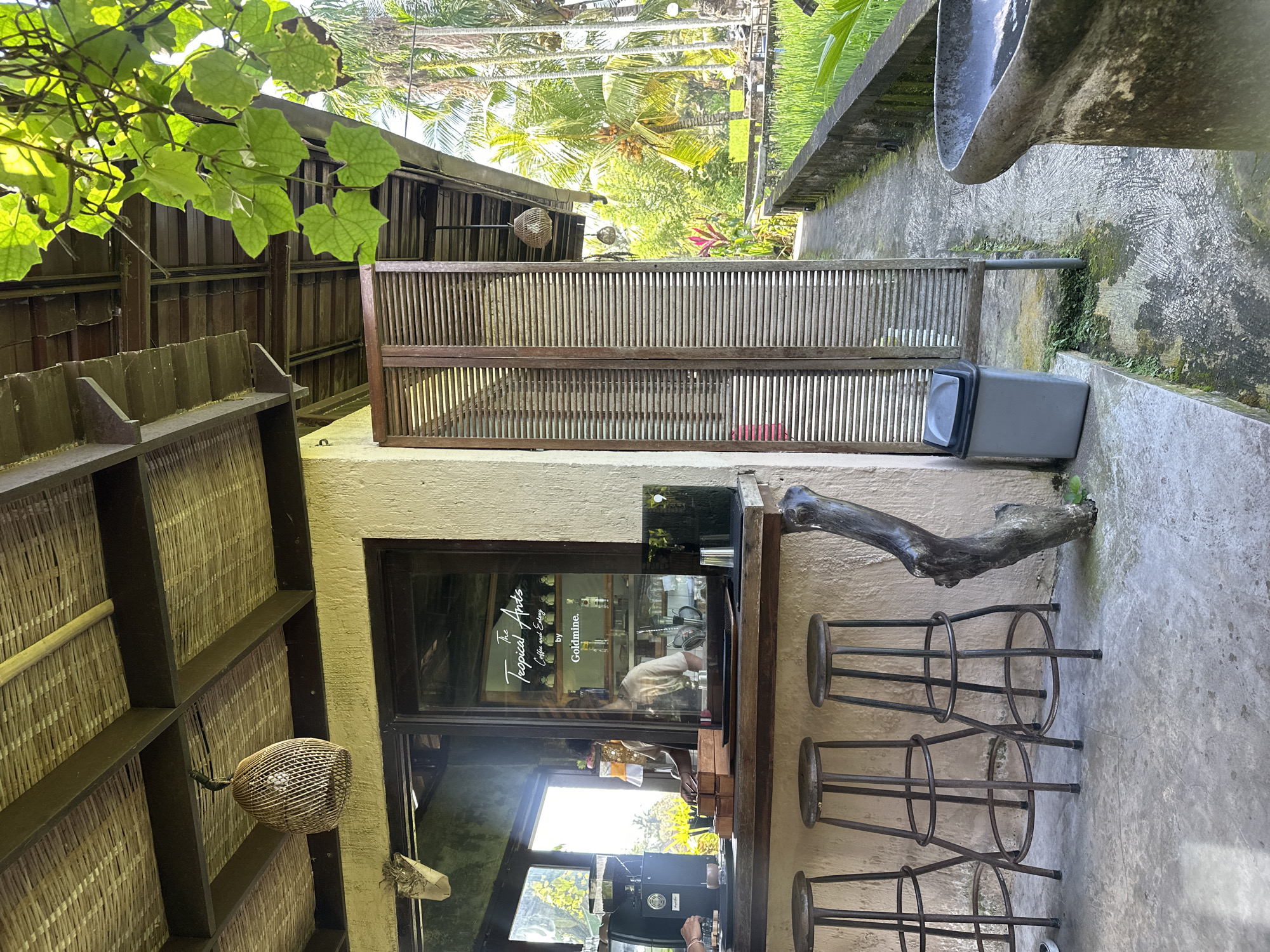 This is a medium-angle, exterior shot of a cafe counter and its surroundings in Ubud District, Indonesia. The cafe appears to be open-air, with a thatched roof supported by dark brown beams. Hanging from the roof are two woven pendant lights. A wooden counter is visible, behind which is a window showcasing a coffee machine, a person preparing a drink, and bottles on shelves. A sign on the window reads "The Tropical Ants Coffee and Eatery by Goldmine." Three tall, dark metal bar stools with round seats are positioned in front of the counter. To the right of the counter is a tall, slatted wooden screen and a grey trash can. Beyond the screen, a concrete path runs alongside a rice paddy, bordered by a low concrete wall. Palm trees and lush green foliage are visible in the background, suggesting a tropical setting. The ground is concrete, with some moss and greenery growing in patches. A rustic, driftwood-like sculpture stands near the counter.