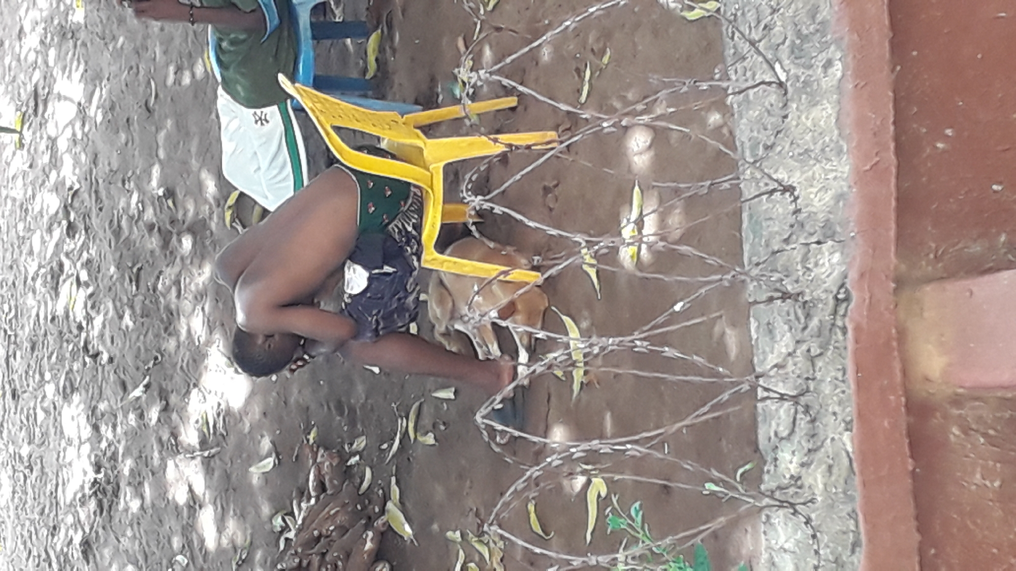 A photo taken in what is reportedly Nkpor, Nigeria, depicts a sparsely vegetated, shaded area littered with fallen leaves and a few pieces of greenery. A young man in dark shorts and bare feet is crouched in the foreground, his head bowed towards the ground. He appears to be near a light brown dog that is partially obscured by a yellow plastic chair. The chair is entangled with a section of coiled barbed wire, the latter of which runs along the edge of a low, reddish-brown structure. The ground consists of soil and fallen debris. An individual with a white shirt with an athletic logo is sitting in a blue chair.