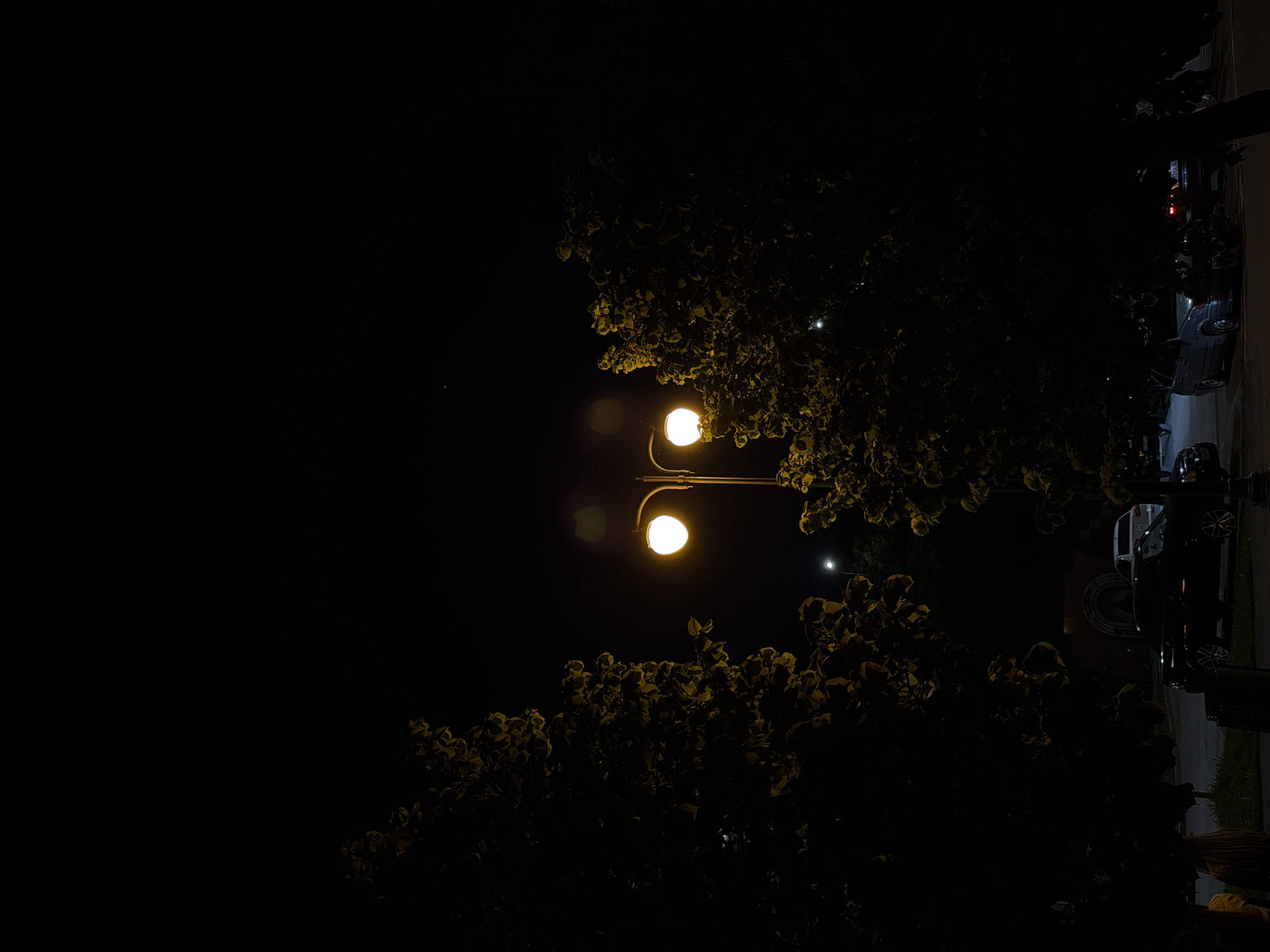 At night in Izhevsk, Russia, a street lamp illuminates the scene, casting a yellow glow on surrounding trees. Parked cars and a streetlight are visible along a street. A few people are vaguely visible on the right side of the image.