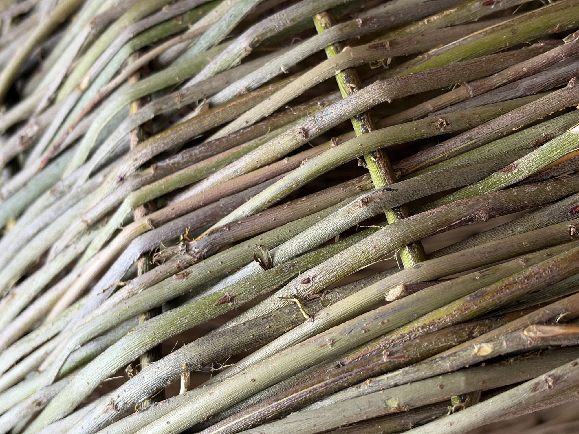 A close-up, detailed shot of woven natural branches creates a textured, abstract background. The branches, varying in thickness and color from green to brown, are interlaced at an angle, suggesting a basket or fence. Small buds and remnants of leaves are visible on some of the branches. The lighting is soft and diffused, highlighting the natural textures and the intricate pattern of the weave. There are no people or any specific identifiable elements of a city, making it impossible to determine a location.