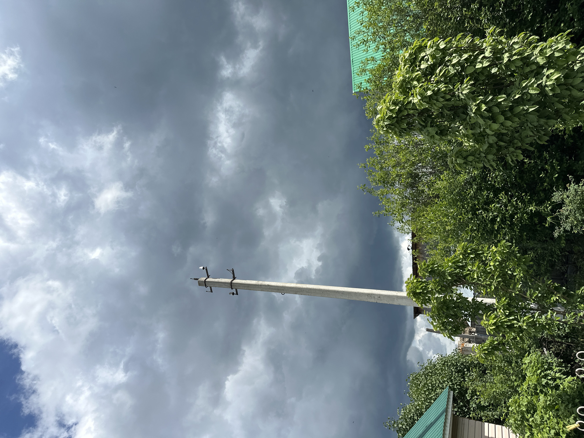 The image presents an outdoor scene dominated by a cloudy sky, a utility pole, and abundant green vegetation.
The upper portion of the frame is filled with an overcast sky. Dark gray, heavy clouds are prominent across the majority of the sky, particularly in the upper right and central areas, suggesting a dense cloud cover. A lighter section of sky, displaying lighter gray and white clouds, is visible in the upper left corner. Scattered throughout the cloudy sky are several tiny, dark specks, consistent with distant birds or insects.
A tall, light gray concrete utility pole stands vertically in the center-left of the image, extending from approximately the mid-height of the frame to near the top. The pole features two horizontal cross-arms, each equipped with two white ceramic insulators. No visible power lines are present.
The lower half and edges of the image are densely populated with green deciduous foliage, comprising various trees and bushes. A particularly full and leafy green tree occupies the lower right quadrant, extending upwards.
Two structures with distinct bright green, corrugated metal roofs are partially visible. One structure is situated on the far left, partially obscured by trees, with a section of light-colored horizontal siding visible beneath its roofline. Another structure is on the right side of the image, mostly hidden by foliage, with only a segment of its green roof visible.
The immediate foreground is primarily obscured by the dense vegetation, with a small portion of a light-colored, possibly metal, fence or barrier visible at the bottom left edge of the frame. The scene conveys an outdoor residential or semi-rural setting. The location is in the city of Unknown, Unknown.