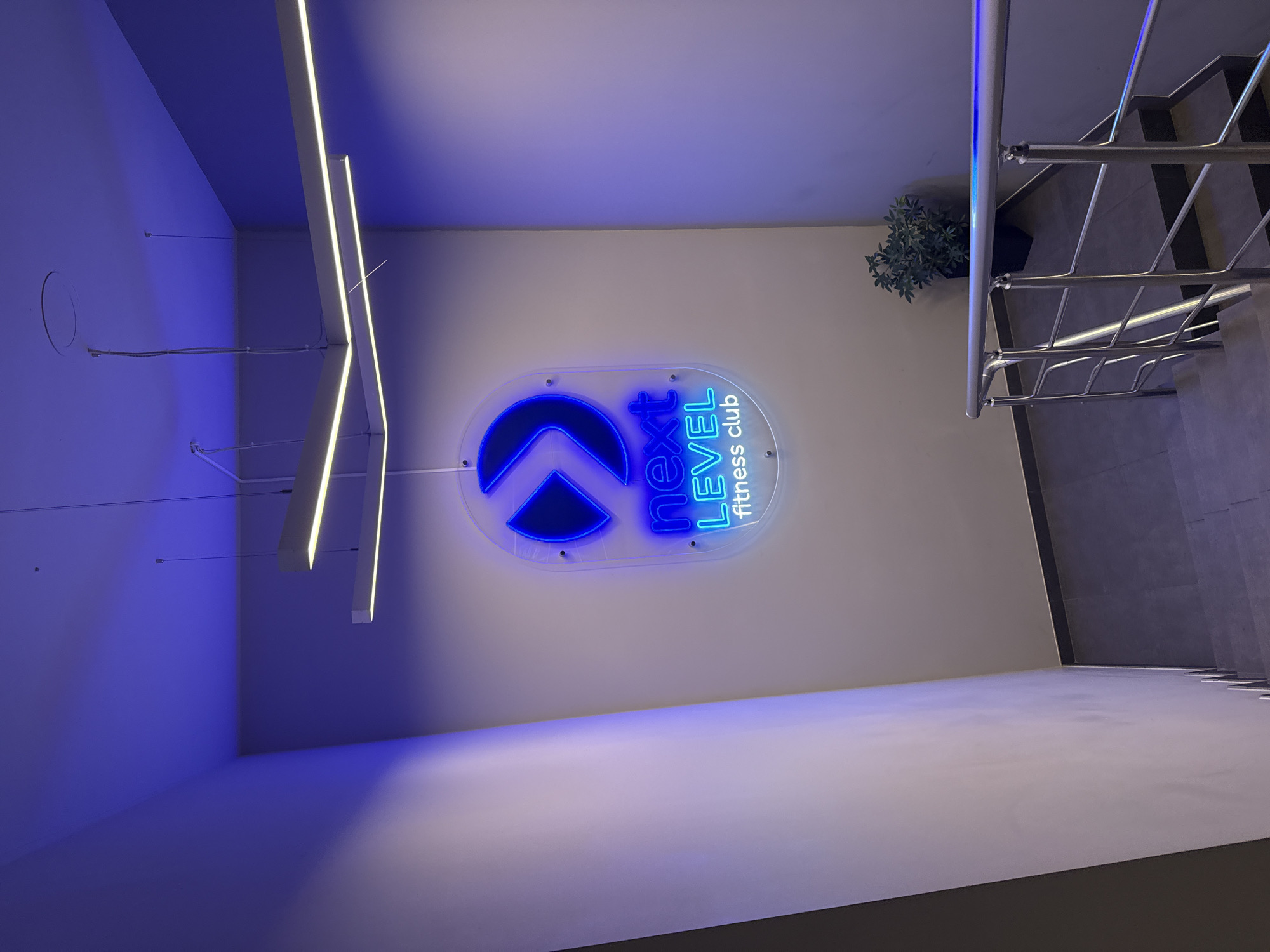 This indoor shot depicts the entrance to the "Next Level Fitness Club". The club's logo, a neon blue sign featuring an upward-pointing arrow intertwined with the text "Next Level fitness club", is mounted on a light beige wall. Above the logo, to the right, is a small potted plant. To the right of the logo is a staircase with metal railings. The steps are tiled in a dark gray color. The left side of the image showcases a section of the wall painted in a gradient of blue hues, with modern linear light fixtures extending from the ceiling.