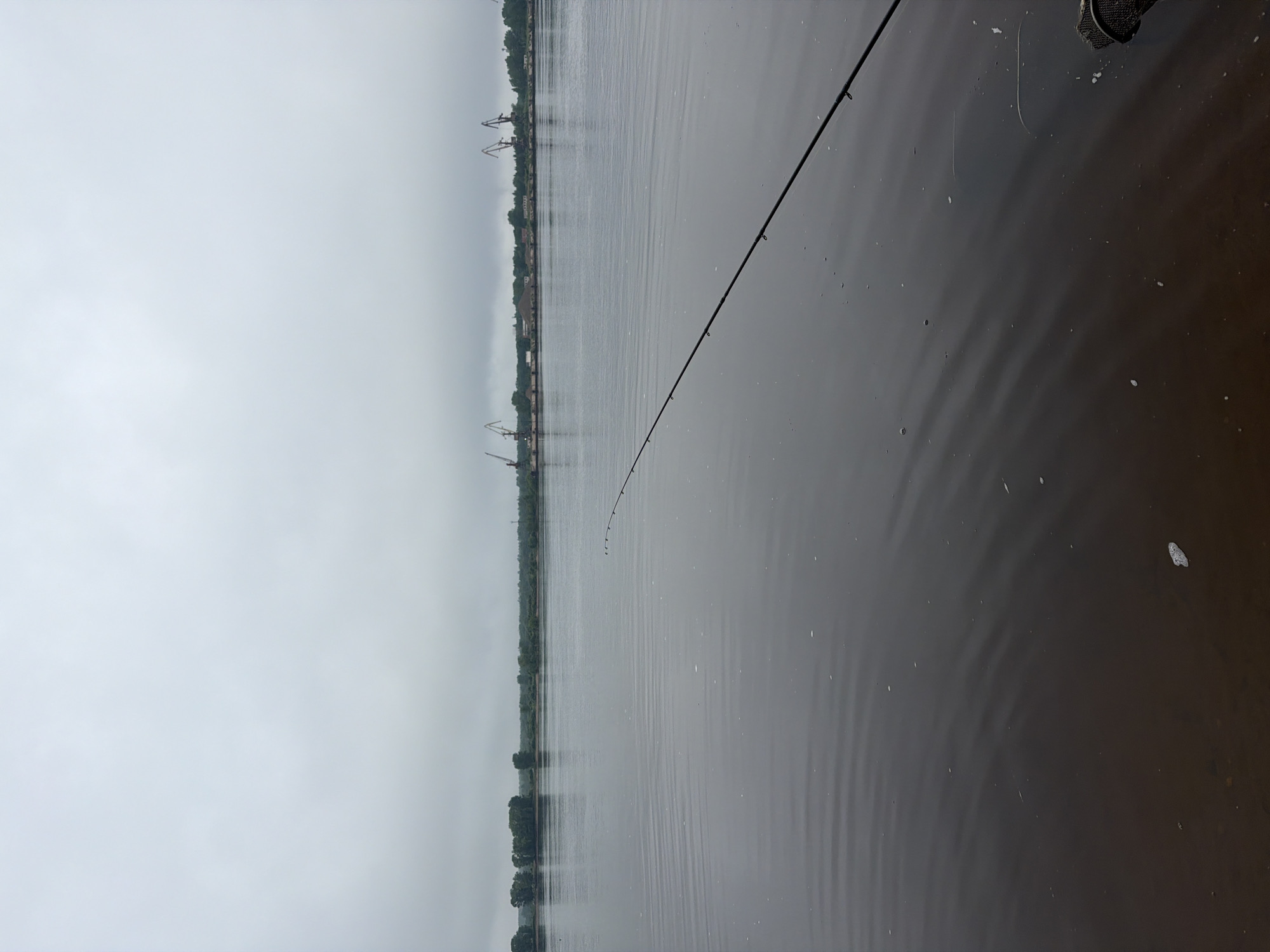 The image presents an expansive view of a body of water, likely a river or large lake, under a uniformly grey and overcast sky. The horizon stretches across the middle of the frame, revealing a distant, low-lying shoreline.
In the immediate foreground, a black fishing rod extends from the right side of the image into the dark, calm water. Several line guides are visible along its length, with the tip of the rod subtly angled downwards, indicating it is actively engaged in fishing. A section of a dark-colored fishing net is partially submerged in the water in the upper right corner. The water surface shows gentle ripples and is flecked with a few scattered white specks of foam or debris.
The distant shoreline is lined with trees and vegetation, broken by the presence of several prominent industrial cranes, suggesting a port or shipyard. These structures are silhouetted against the muted sky. The overall scene conveys a quiet, possibly somber, atmosphere due to the overcast weather conditions. The activity depicted is fishing, taking place during the daytime in an industrial river setting in Noviy, Russia. There is no visible text in the image.