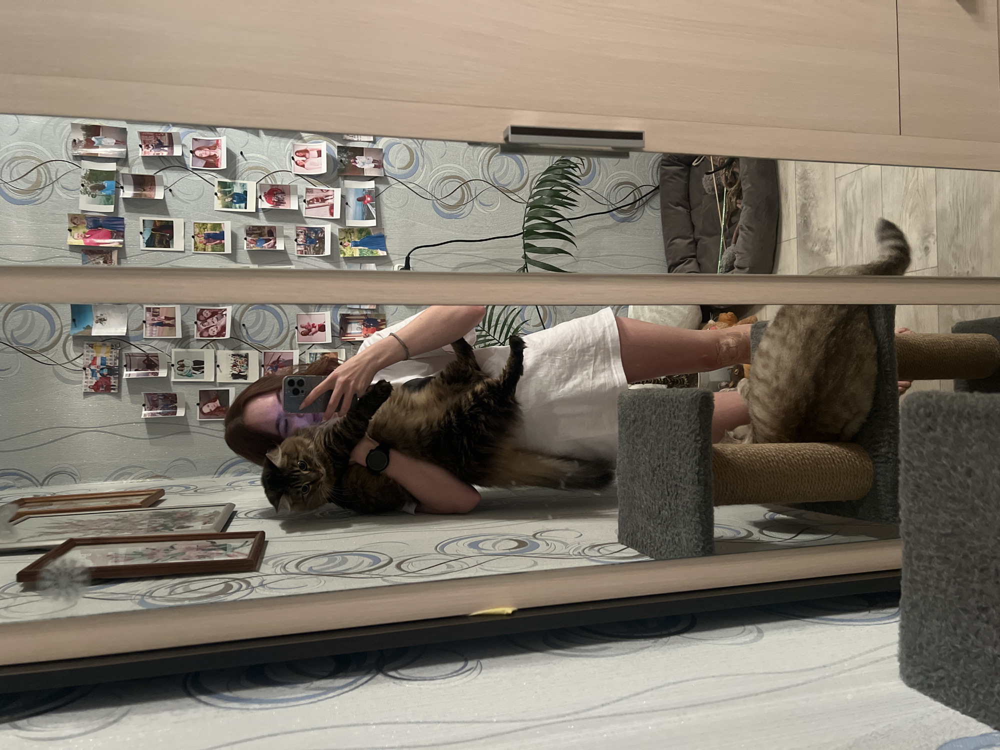 A reflection in a mirror captures a person lying on the floor holding a cat. The person holds a smartphone in their right hand, pointed towards themselves and the cat, seemingly taking a photo. The cat is held close to the person's chest. In the background, a wall covered with numerous photos and a potted plant is visible. Also in the reflection, a cat tree with a striped cat on it is seen. The setting appears to be indoors, inside a home. The city is not discernible from the image provided.