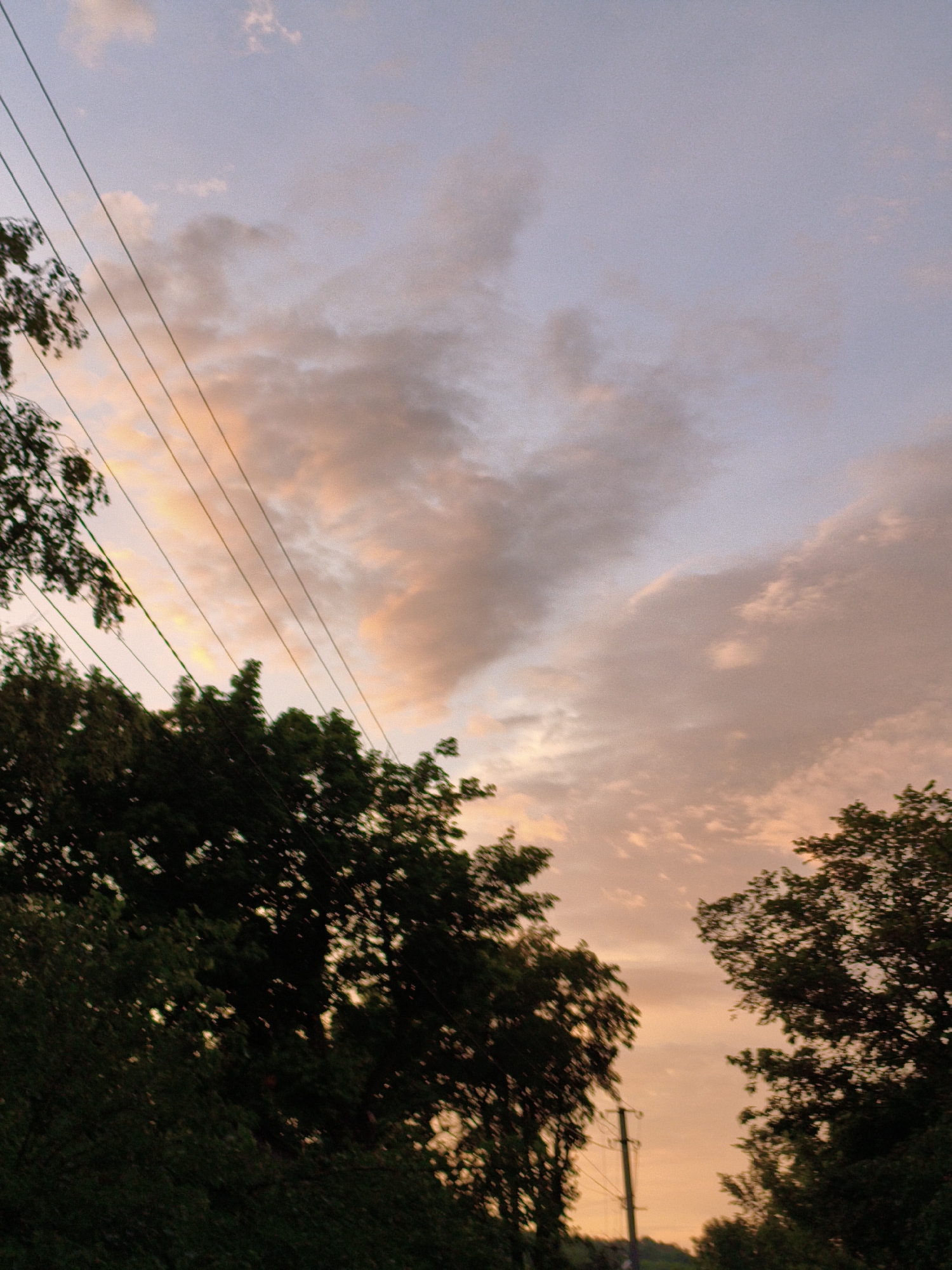The image depicts a sunset over the city of Ustyvytsia, Ukraine. Silhouetted against the colorful sky are the tops of dark green trees, their foliage dense and varied in texture. Several power lines, thin and dark, stretch diagonally across the frame from the left side, adding a man-made element to the natural scene. The sky itself is a gradient of soft colors, transitioning from a pale lavender at the top to warm oranges and pinks closer to the horizon, indicative of twilight. Scattered clouds are present, catching the fading light and adding depth to the sky. In the lower right quadrant, the branches of another tree are visible, also silhouetted against the sky. A single utility pole with attached wires stands vertically in the lower right portion of the image, further emphasizing the presence of infrastructure within the landscape. The overall impression is one of a peaceful, natural setting at dusk, with subtle signs of human habitation.