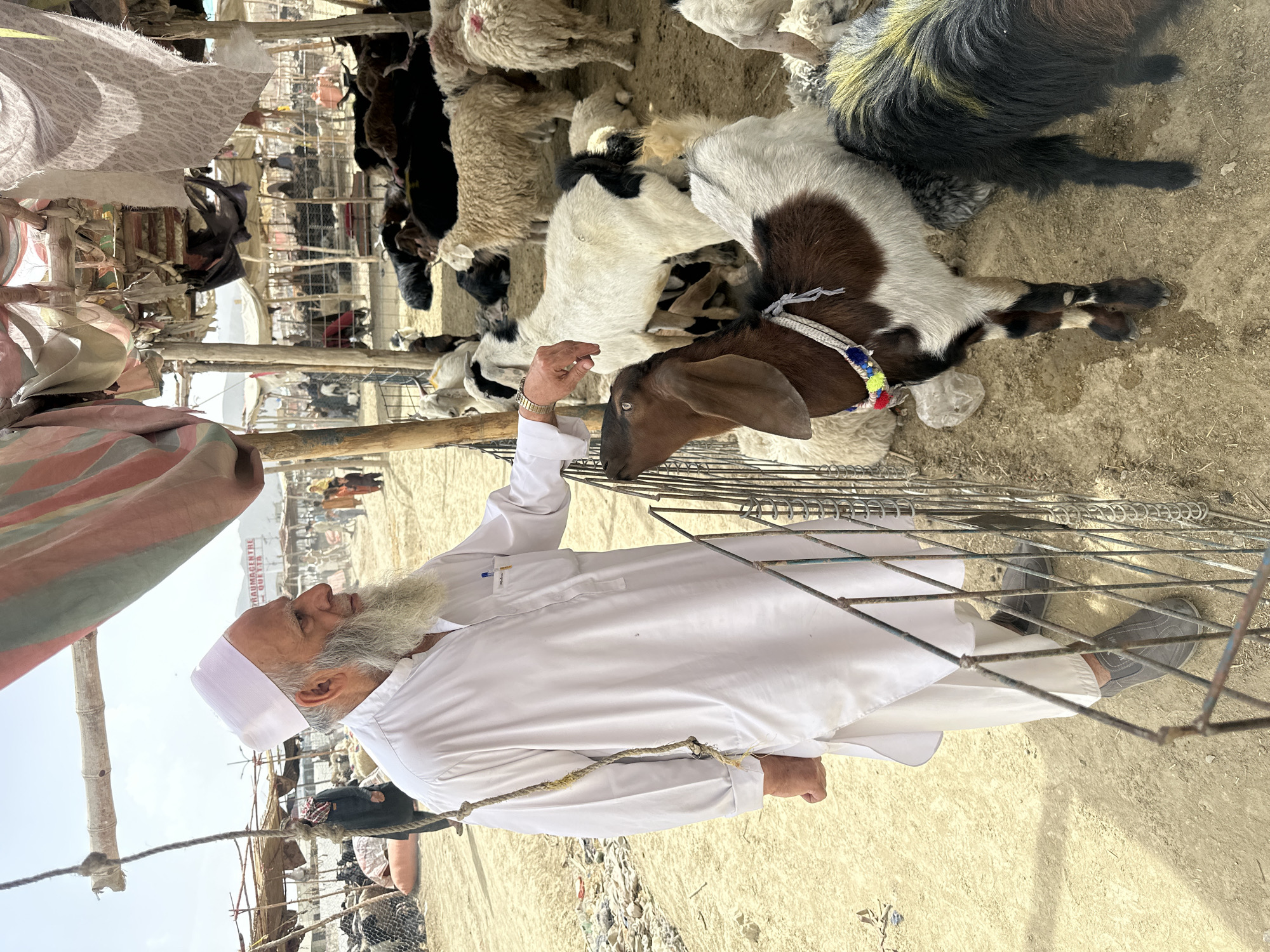 The image shows a man at an animal market, likely in Quetta City Tehsil, Pakistan. The man, dressed in traditional white clothing and a white cap, stands near a pen filled with sheep and goats. He is interacting with a brown-eared goat that has a decorated collar. The ground is sandy and littered with debris. The market appears to be crowded with animals and people.