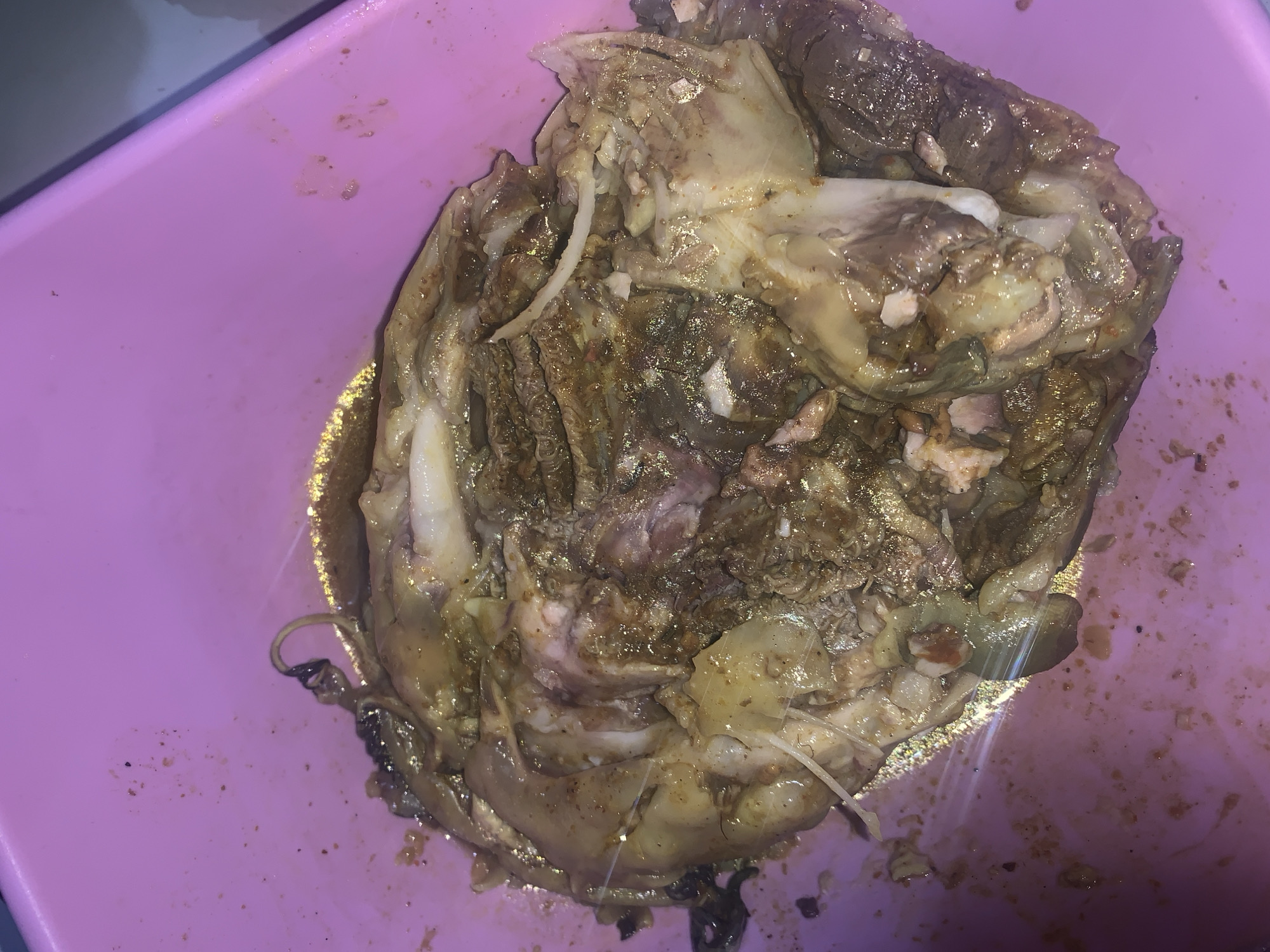A mass of what appears to be partially digested food waste, containing distinguishable meat and vegetable matter, is collected in a pink plastic basin. The scene is located in Rafin Par, Nigeria. No people are visible. The basin is dirty, with food debris scattered on the interior surface.