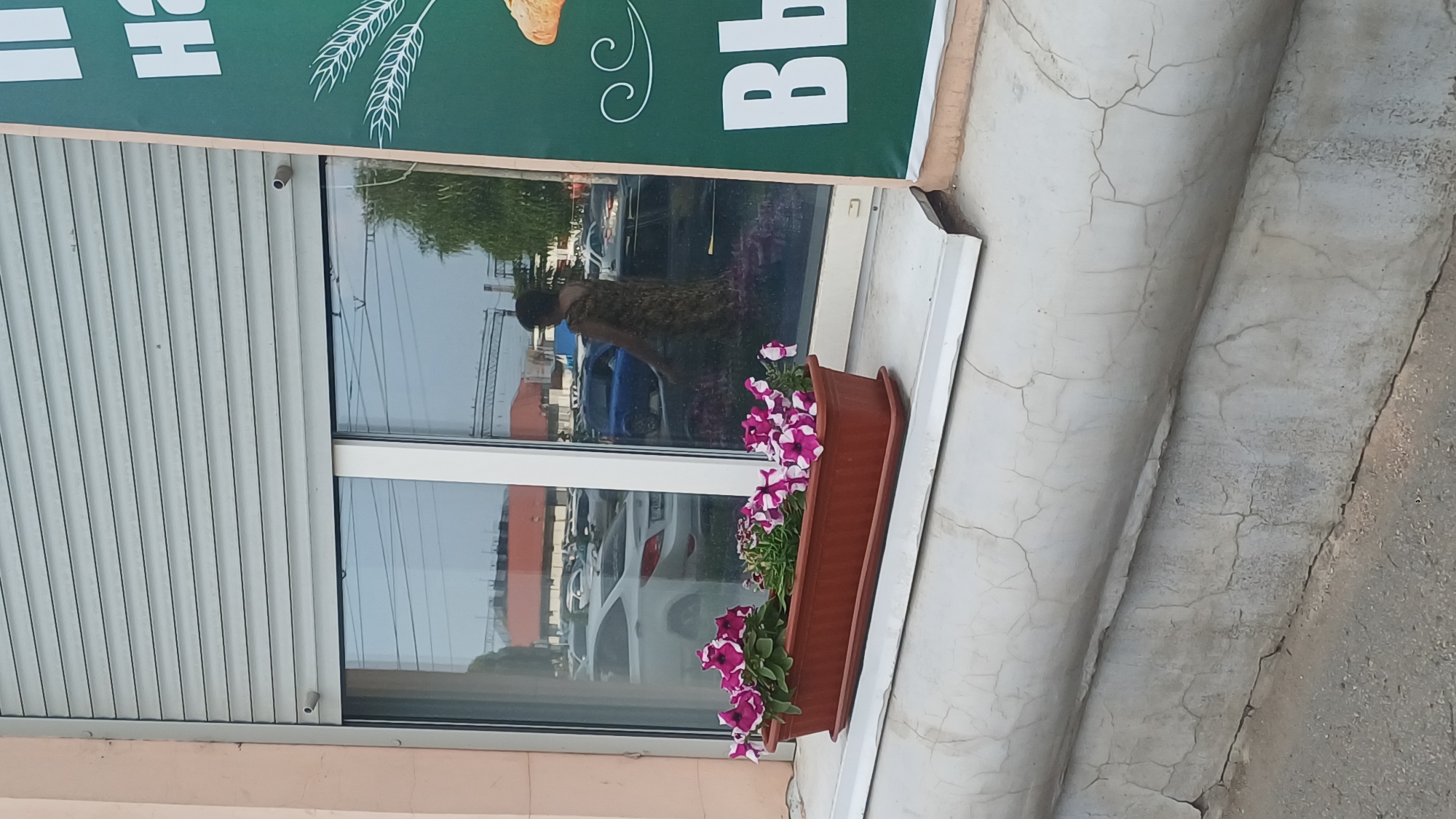 The image captures a storefront window in Izhevsk, Russia, featuring a window box filled with vibrant pink and white petunias. Reflected in the window are cars parked in what appears to be a lot or street. A woman, partially visible in the reflection, is walking away from the camera. To the right of the window, a portion of a green sign with white text and an illustration of wheat stalks is visible. The building facade shows signs of age, with cracked concrete on the windowsill and the wall below. A metal roller shutter is positioned above the window. The overall scene depicts an ordinary urban setting with commercial and residential elements.