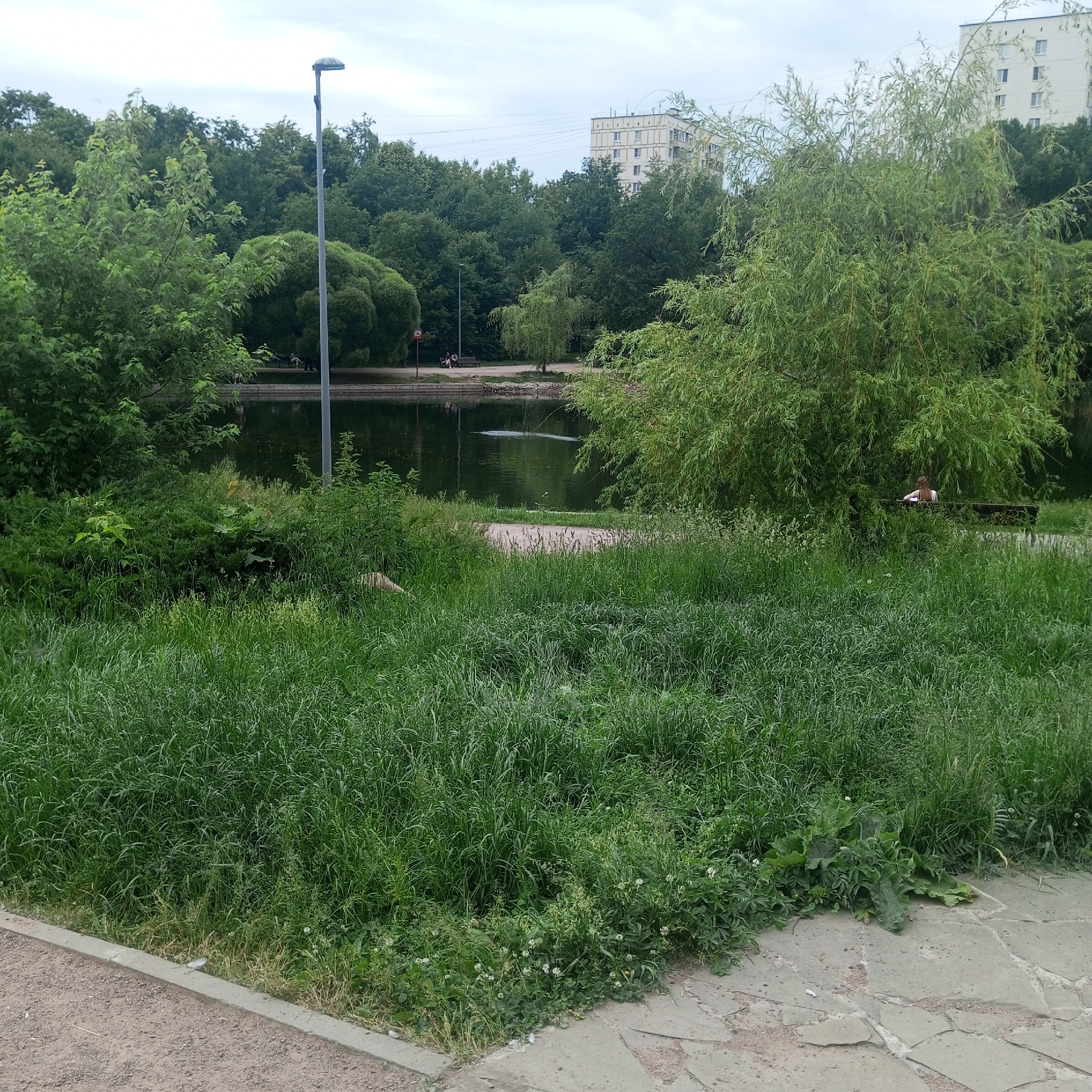 The image depicts a park scene in Moscow, Russia, on an overcast day. In the foreground, tall, lush green grass covers the ground, with a paved pathway of irregular gray stones to the right and a gravel path to the lower left. Beyond the grass, a dark, still body of water, likely a pond or small lake, occupies the middle ground. Trees with dense green foliage surround the water. A few individuals are visible sitting on a bench near the water's edge, and a lamppost stands to the left of the water. In the background, tall, light-colored apartment buildings rise above the treeline. The overall impression is one of a peaceful, natural setting within an urban environment.