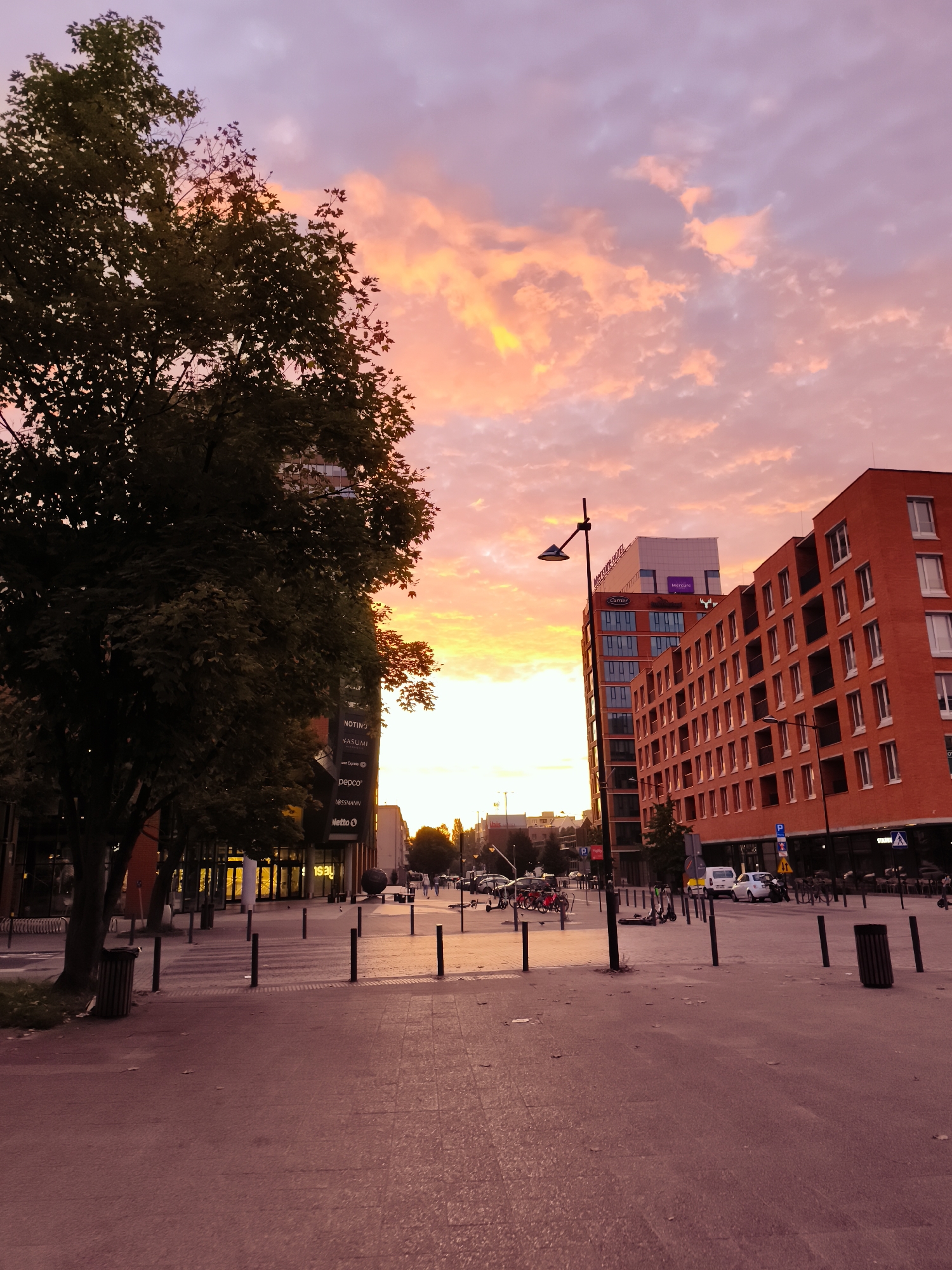 This image captures a street scene in Gdańsk, Poland, during a vibrant sunset. The sky is ablaze with hues of pink, orange, and yellow, with soft, textured clouds scattered across. In the foreground, a wide, paved pedestrian area is visible, with a crosswalk marked by white stripes. Numerous dark bollards are spaced along the pedestrian walkway and the edge of the street. To the left, a large, mature tree with dense green foliage stands prominently, its dark silhouette contrasting with the bright sky. Behind the tree, a modern building with a dark facade displays several signs, including "NOTINO," "YASUMI," "Pepco," "LESSMANN," and "Netto." To the right, a multi-story building with a red brick facade and numerous square windows is a significant architectural feature. A street lamp with a modern design stands near this building. Further down the street, other buildings and more trees are visible, with cars and parked bicycles suggesting urban activity. The overall lighting is warm and dramatic due to the sunset.