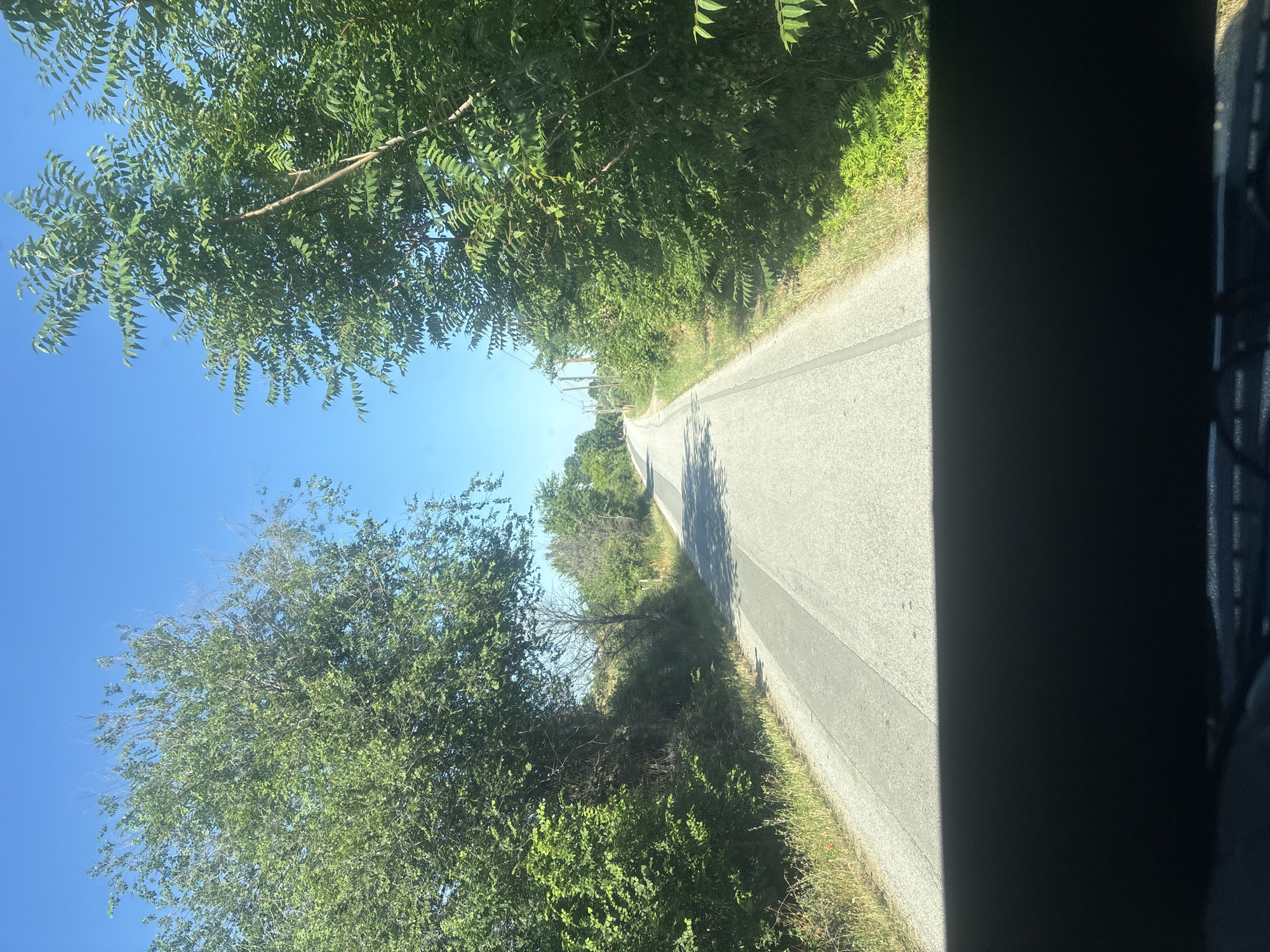 The image shows a paved road lined with lush green trees on both sides. The sky is a clear, bright blue. The road appears to be in a rural or semi-rural area, possibly on the outskirts of Komotini, Greece, given the vegetation and the style of the road. There are no visible people or vehicles in the immediate vicinity. The perspective suggests the photo was taken from a moving vehicle. The foreground is dominated by a dark, out-of-focus area, likely the dashboard or interior of the vehicle from which the photo was taken. The scene evokes a sense of a pleasant drive through a verdant landscape under a sunny sky.