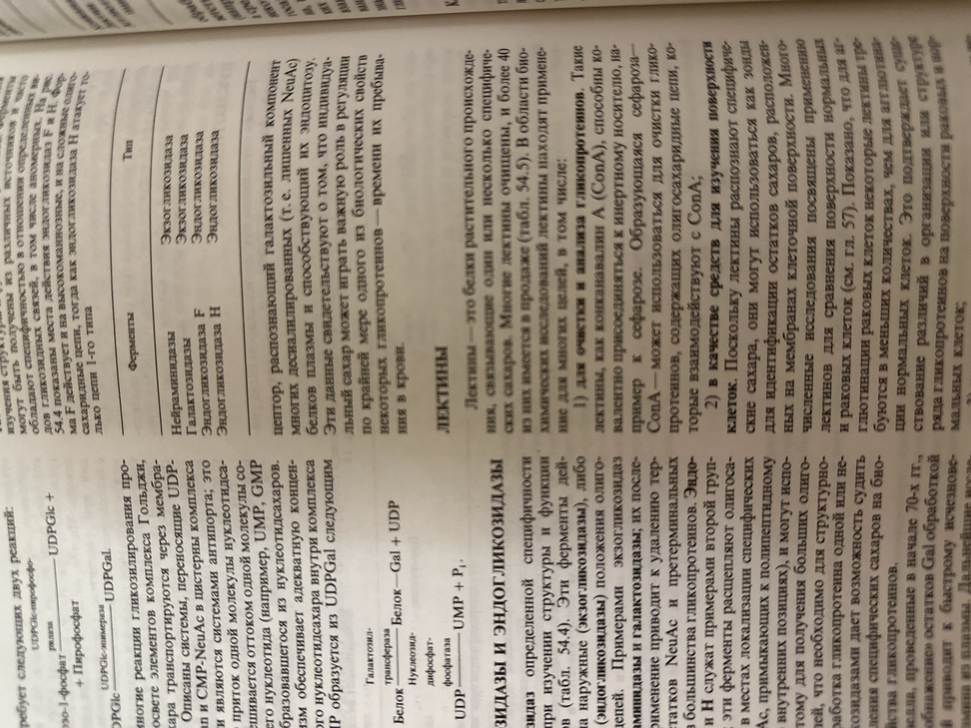 The image contains text from a book. The text discusses biochemistry, specifically focusing on glycosylation, enzymes like glycosidases, and lectins. There is no information about Kazan, Russia, or any real-world scene. The content is purely informational and academic.