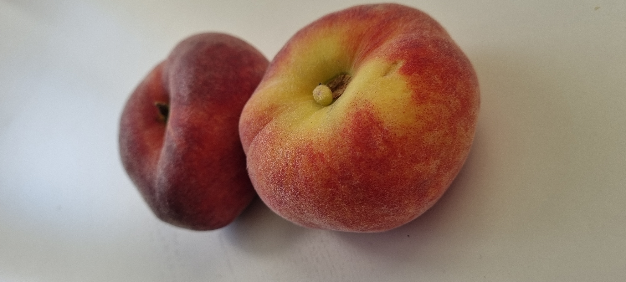 Two flat peaches, also known as Saturn peaches, are displayed on a white surface. The peach in the foreground is larger and exhibits a gradient of color, transitioning from a vibrant yellow near the stem to a deep red on its outer edges. Its surface is covered in fine, fuzzy hairs. The peach in the background is slightly smaller and appears to be a darker shade of red overall, with a less pronounced yellow hue. It is positioned above and behind the foreground peach, with its top portion slightly visible. The lighting in the scene creates subtle shadows on the white surface, indicating a light source from the top left. The overall impression is one of a simple, clean still life of fresh fruit.
The image location is identified as Romashkovo, Russia, but this specific detail does not lend itself to a forensic description of the depicted scene itself, as there are no contextual elements within the image to confirm or deny this geographical information.