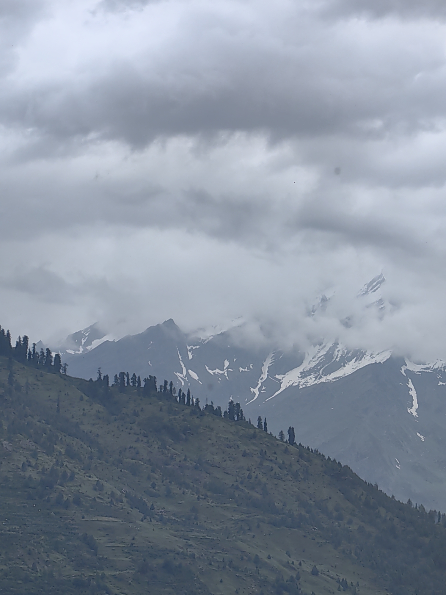 The image depicts a mountainous landscape under a cloudy sky. In the foreground, a steep, grassy slope is dotted with numerous evergreen trees, some appearing taller and more prominent along the ridge. The middle ground is dominated by jagged mountain peaks partially obscured by clouds, with patches of snow visible on their upper reaches. The sky is overcast with heavy, gray clouds, creating a diffused light. The scene appears to be a natural, outdoor environment, likely at a high altitude. The location is identified as Vashisht, India. There are no people or obvious human activity visible in the image.