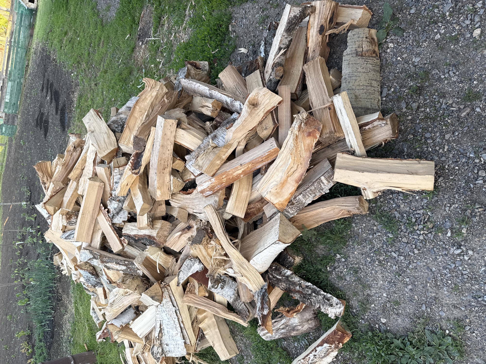 In the foreground, a large pile of chopped firewood is scattered across a gravel and grass area. The firewood consists of various sized logs, some with bark still attached. In the background, there is a garden bed with rows of plants, and further in the distance, a wooden fence and a green net enclosure. The scene appears to be a rural or suburban outdoor setting. The image does not provide any specific information about the city of Солонешное, Russia.