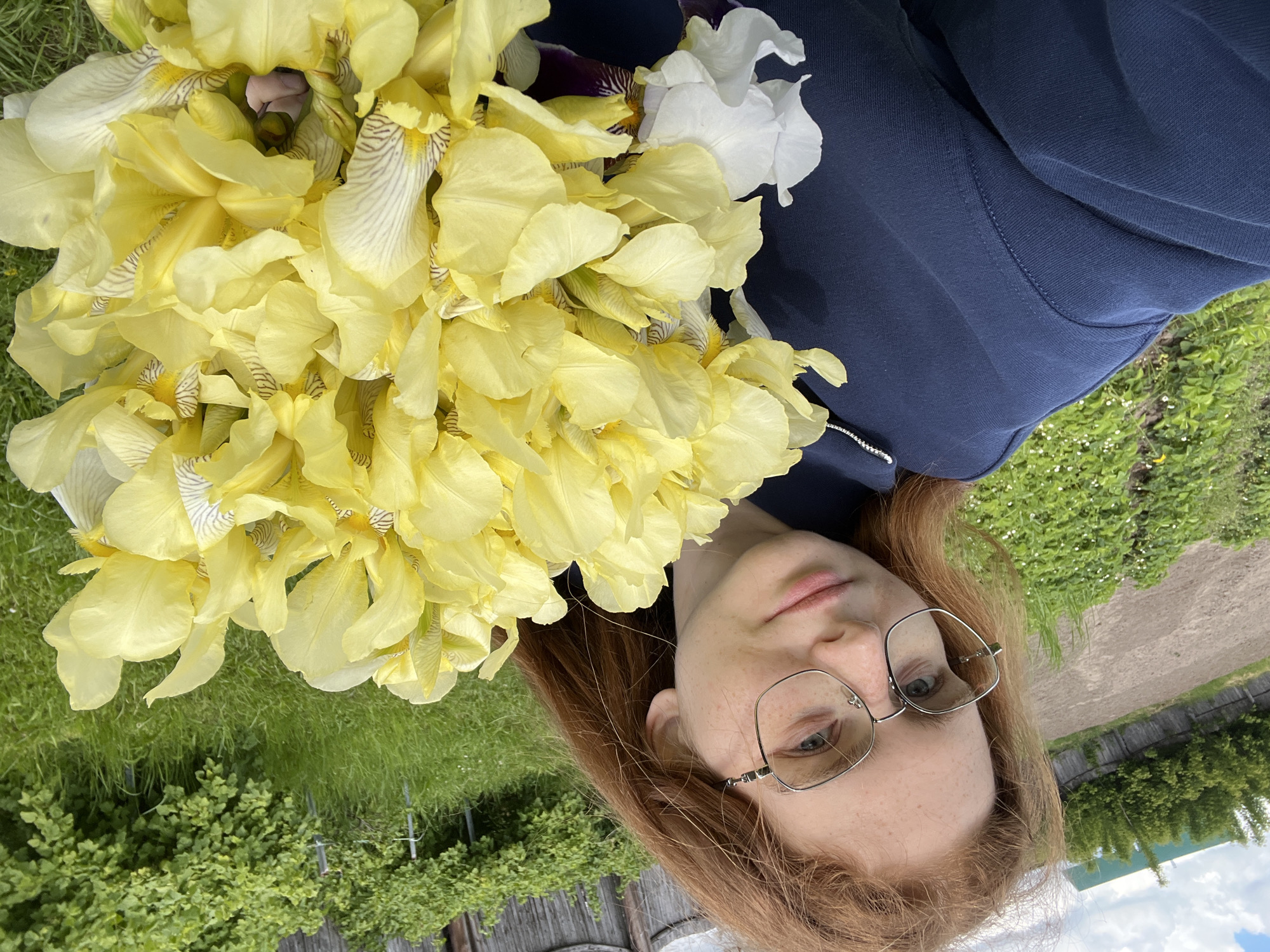 A young person with reddish-brown hair and fair skin, adorned with silver-framed glasses, is captured in a close-up, rotated outdoor selfie. They wear a navy blue long-sleeved top, possibly a sweatshirt, with a visible silver zipper pull. Their expression is neutral and calm as they gaze towards the camera.
The dominant feature of the image is a very large, vibrant bouquet of irises held by the person, filling a significant portion of the left frame. The flowers are primarily bright yellow, with some displaying delicate brown or light purple striations on their lower petals. A few white irises and hints of darker purple varieties are interspersed, adding variety to the large arrangement.
The setting appears to be an outdoor garden or rural area, consistent with a location like Новая Тура, Russia. The background features lush green grass and low-growing plants with small white flowers. Further back, dense green bushes and a rustic wooden fence are visible. In the distance, trees and what seems to be a building with a green roof are discernible under a bright, partly cloudy sky. The photograph was taken during daytime, likely morning or afternoon, indicated by the natural light. The image is oriented 90 degrees clockwise from a standard upright view. No text is visible.