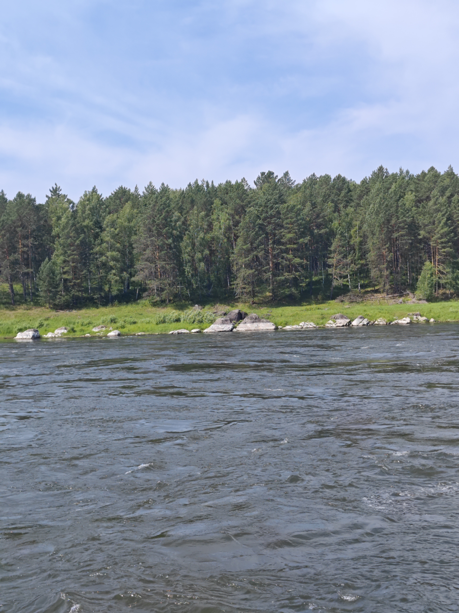 An eye-level, full shot captures a wide river flowing in the foreground, with a lush green forest bordering the opposite bank under a clear blue sky. The river is a dark, choppy blue, with white foam and ripples indicating movement. The bank is lined with rocks and a thick expanse of pine trees with varying shades of green. The sky is bright blue with a few wispy white clouds. The scene is serene and natural, suggesting a location outside of a densely populated area. This scene is located in the city of Porog, Russia.