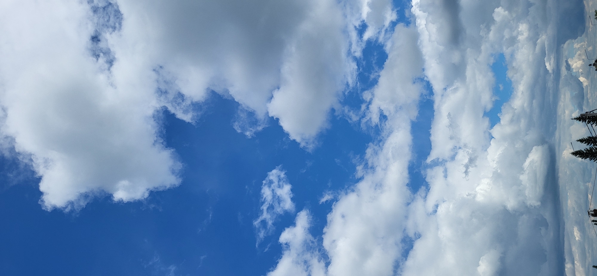 A vertical, eye-level shot captures a bright blue sky filled with white and grey clouds. The clouds are dense in the upper right and bottom sections of the frame, with some thinner wisps scattered throughout the blue expanse. The bottom of the image shows a sliver of a landscape with the tops of several evergreen trees, some power lines, and what appear to be streetlights. The scene is likely set in Bulgakovo, Russia, based on the provided context, and depicts an outdoor environment. There are no people or discernible actions taking place.