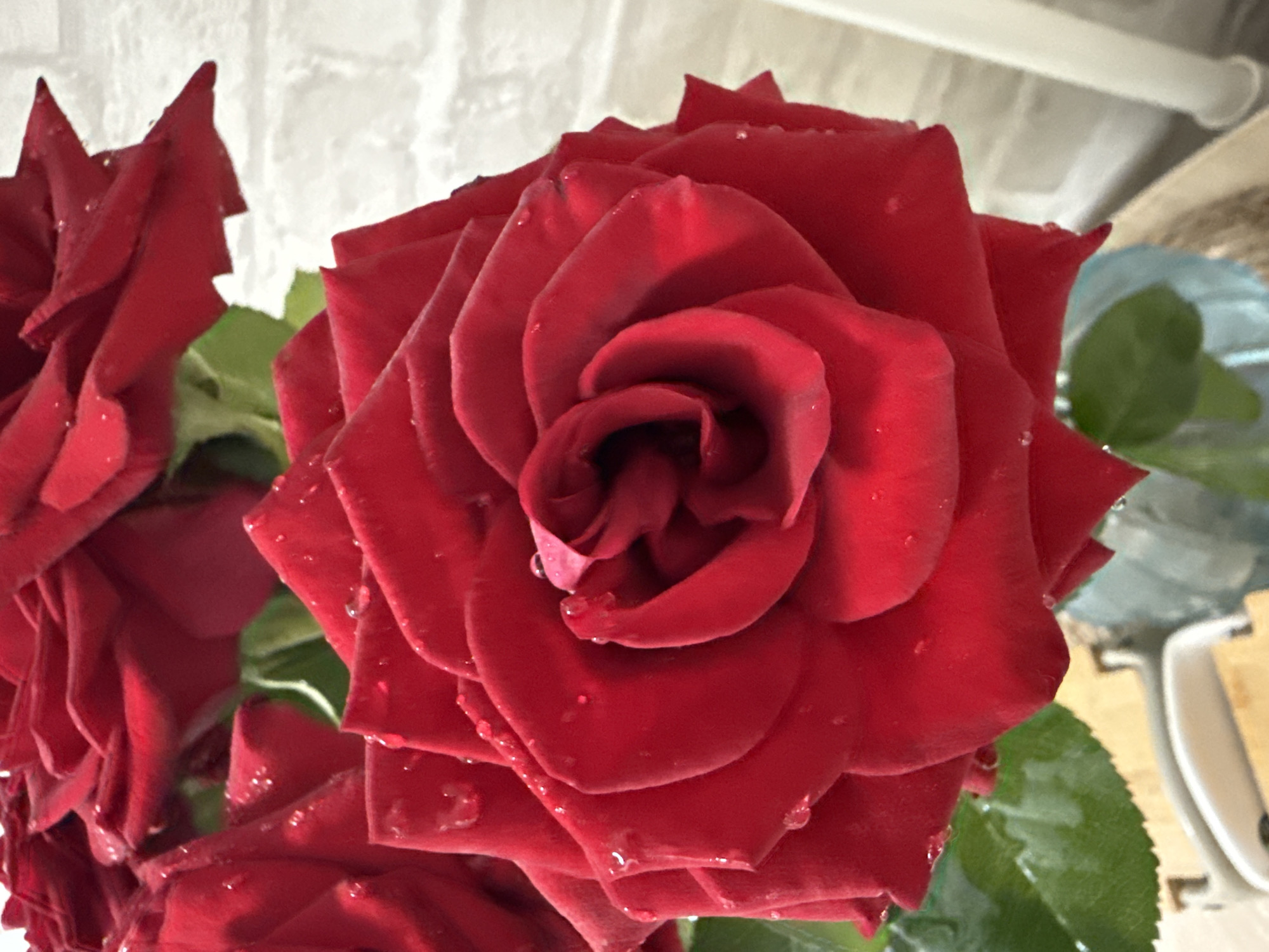 A close-up, eye-level, vertical shot focuses on a vibrant red rose, its petals delicately unfurling with a dewy sheen. The rose is situated centrally, its rich crimson hue dominating the foreground. Surrounding it are other red roses, partially visible and out of focus, suggesting a bouquet. Hints of green foliage peek through, adding contrast to the deep reds. The background is a soft blur of a light-colored, possibly brick or textured wall, and a light blue vase holding the flowers. The lighting is soft and natural, highlighting the texture and moisture on the rose petals.