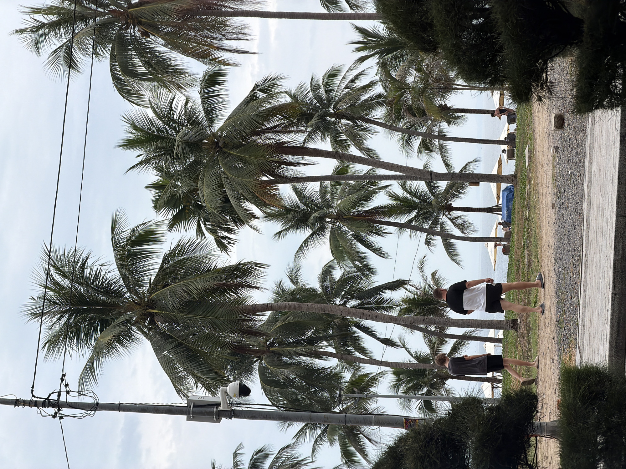 The image shows a beach scene in Nha Trang Ward, Vietnam. A row of palm trees lines the beach. Two people are walking on a path parallel to the beach. Beach umbrellas are visible on the sand. Utility poles and wires are also visible in the foreground.