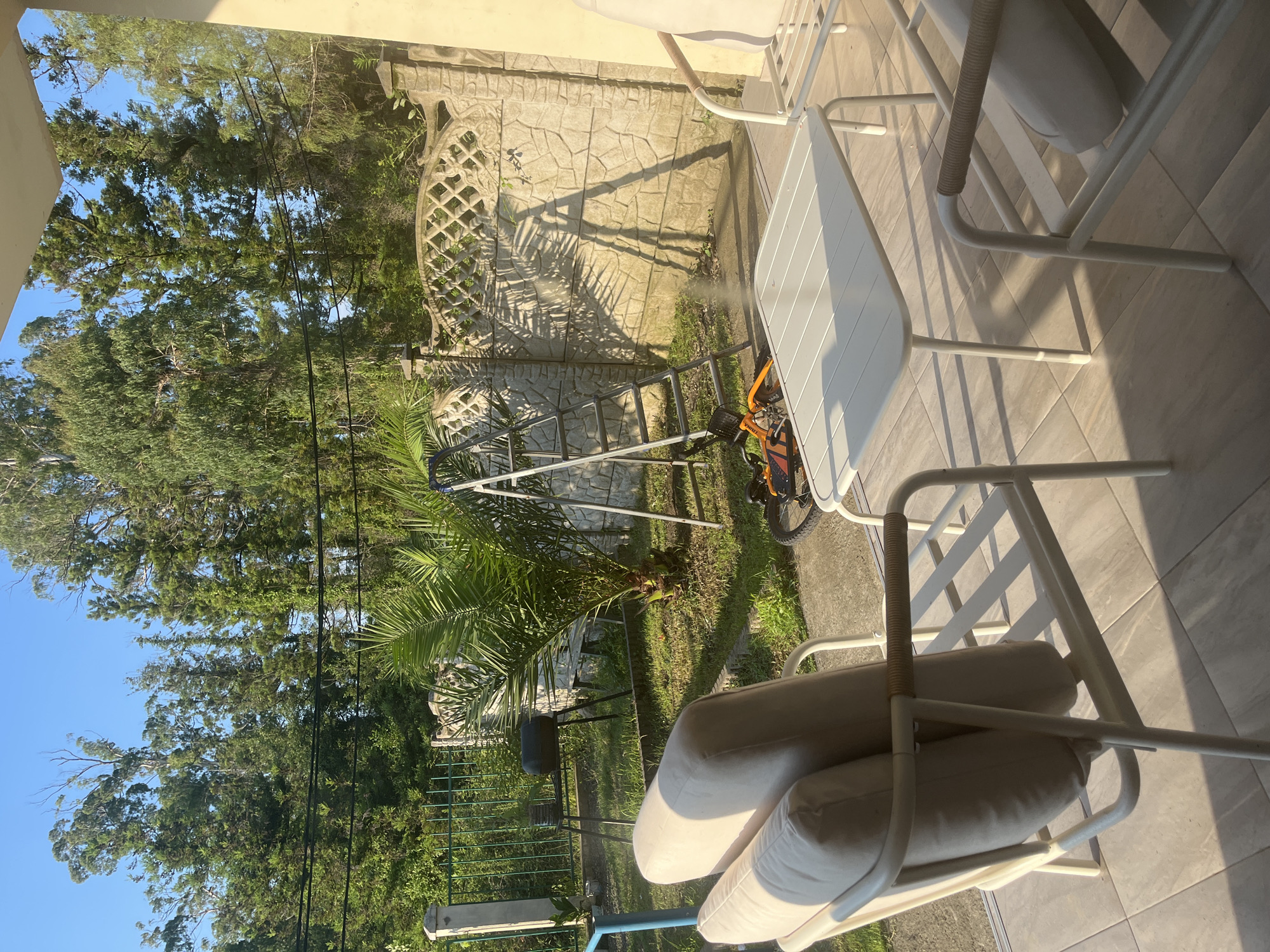 The image depicts an outdoor patio area in Ureki, Georgia, bathed in bright sunlight. In the foreground, two white metal chairs with beige cushions face a small white table. Beyond the patio, a grassy yard is visible, featuring a palm tree, a ladder leaning against a decorative stone fence, and a black grill on a stand. A green metal fence encloses part of the yard. Tall trees with lush green foliage dominate the background, with a clear blue sky overhead. The scene appears peaceful and well-maintained, suggesting a residential or recreational setting.