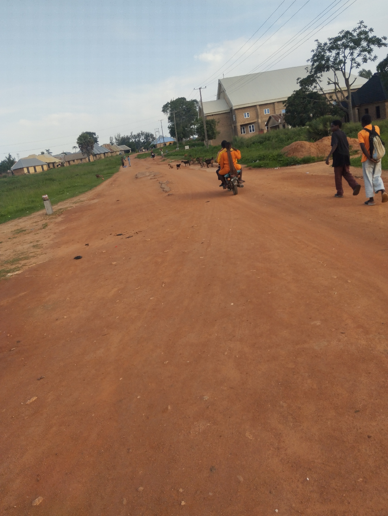 The image depicts a rural road scene in Jos, Nigeria. The road is unpaved and reddish-brown, with some patches of cracked and uneven surface. In the foreground, the road occupies most of the frame, with a few scattered dark spots possibly being debris or animal droppings.
On the left side of the road, there is a grassy slope with some buildings in the background, appearing to be low-rise structures with light-colored walls and darker roofs. A concrete post stands near the edge of the road. Further up the road, a large building with a distinctive gray, sloped roof, resembling a church or a large community hall, is visible. This building has multiple windows and appears to be constructed of brick or concrete blocks.
Several goats are scattered on and near the road, some appearing to graze or walk.
In the midground, a motorcycle with two occupants, both wearing orange shirts, is traveling away from the camera. The driver is a person with dark hair, and the passenger is wearing a long orange garment.
Further to the right, two figures are walking on the road, away from the motorcycle. The person in front is wearing dark pants and a dark shirt, while the person behind is wearing light-colored pants and an orange shirt, carrying a light-colored backpack.
In the background, beyond the large building, trees and vegetation are present, with power lines and poles also visible, indicating some level of infrastructure in the area. The sky is overcast with a pale blue hue. The overall impression is of a dry, dusty environment with a mix of rural and developed elements.