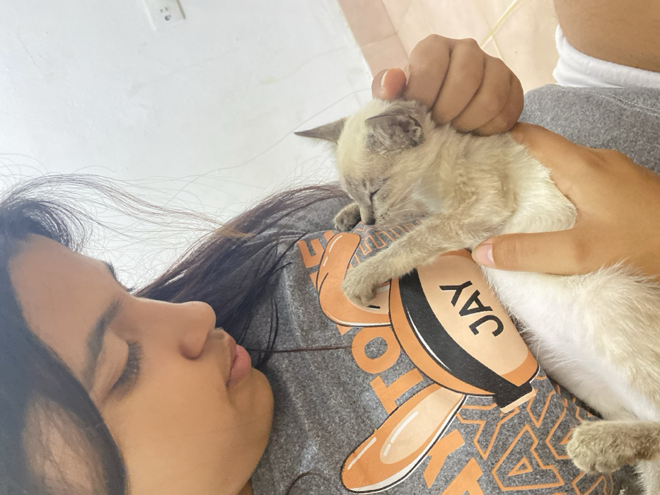 A woman with long dark hair lies on her side, cradling a Siamese kitten in her arms. The kitten is nestled against her gray t-shirt, eyes closed and paws relaxed. A hand rests gently on the kitten's head. The woman's eyes are closed, her face calm. The background is a plain white wall.