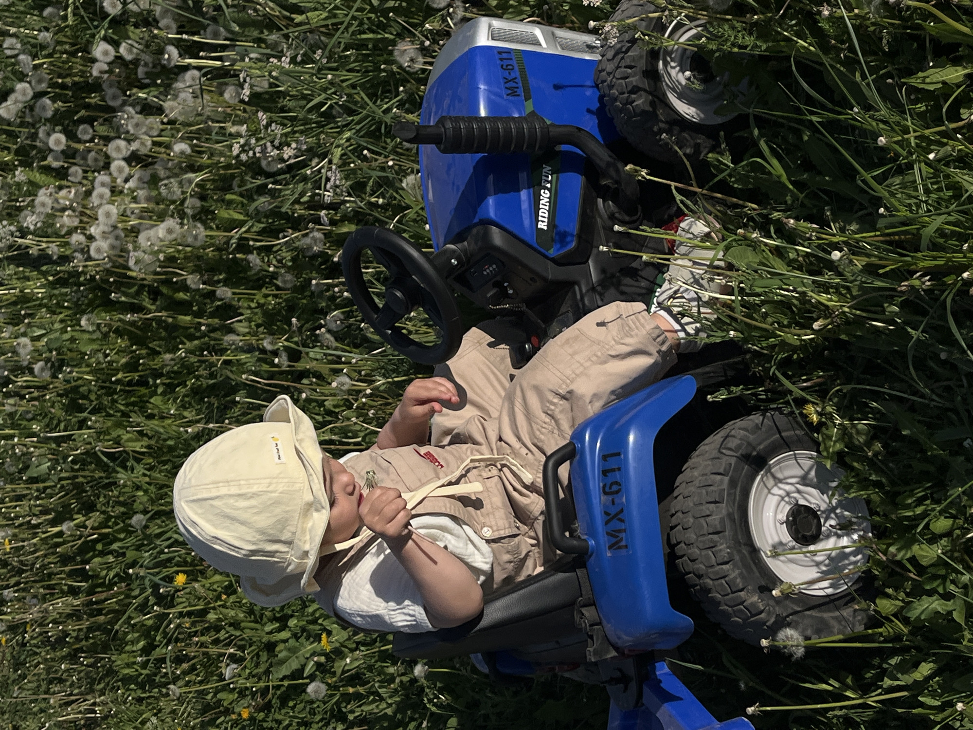 A young child wearing a tan sun hat, a white t-shirt, and tan overalls sits on a blue toy tractor in a field of green grass and white dandelions. The tractor, labeled "MX-611" and "RIDING FUN," is positioned amidst the foliage. The location cannot be determined to be Фоки, Russia with the given information.