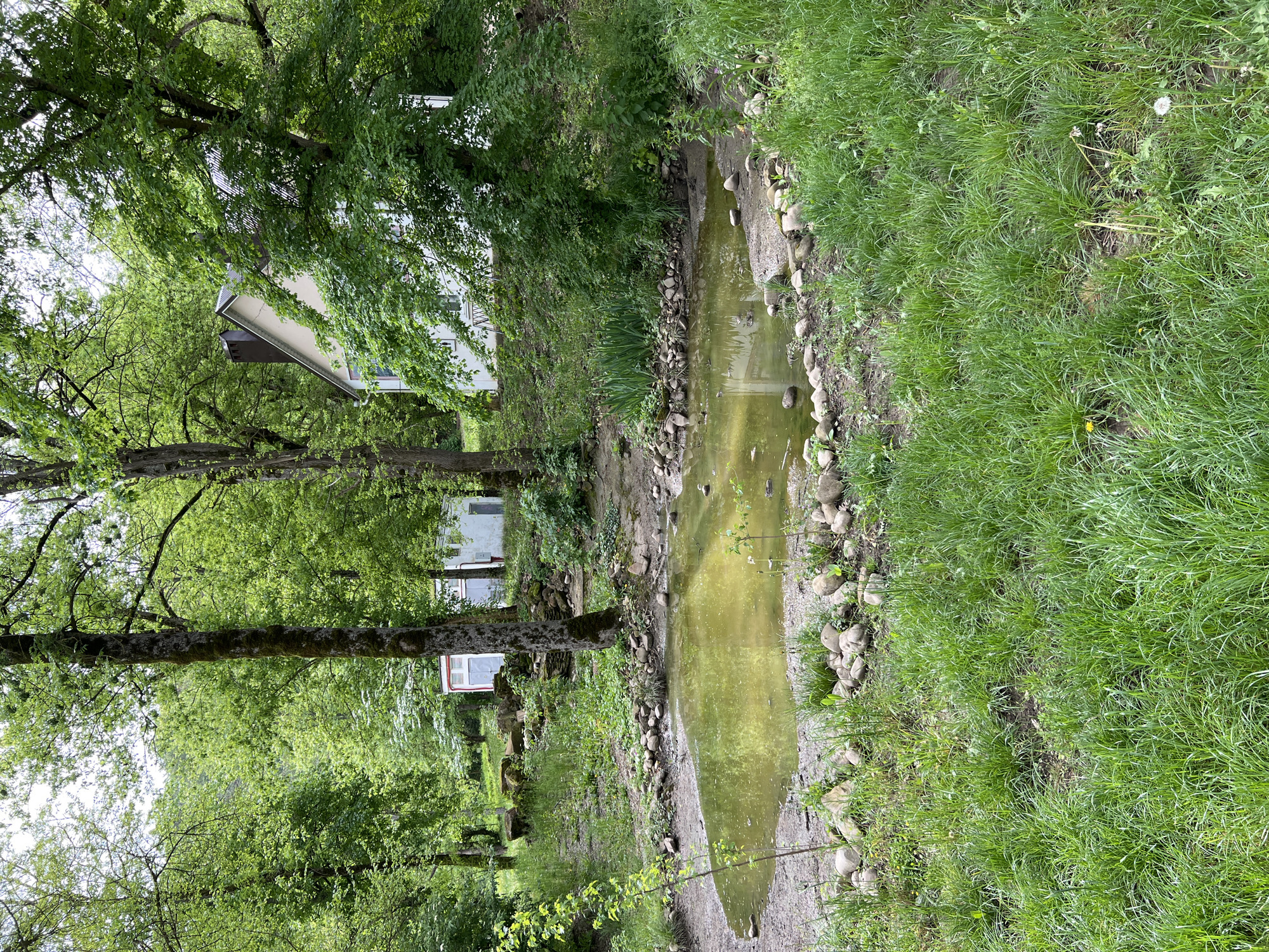 The image depicts a drainage ditch in Goryachiy Klyuch, Russia. The ditch contains stagnant, greenish water and is bordered by rocks and vegetation. Lush green grass grows on one side, while trees and a glimpse of buildings can be seen on the other. The overall scene suggests a natural, possibly residential area with a water management feature. No people or animals are visible in the image.