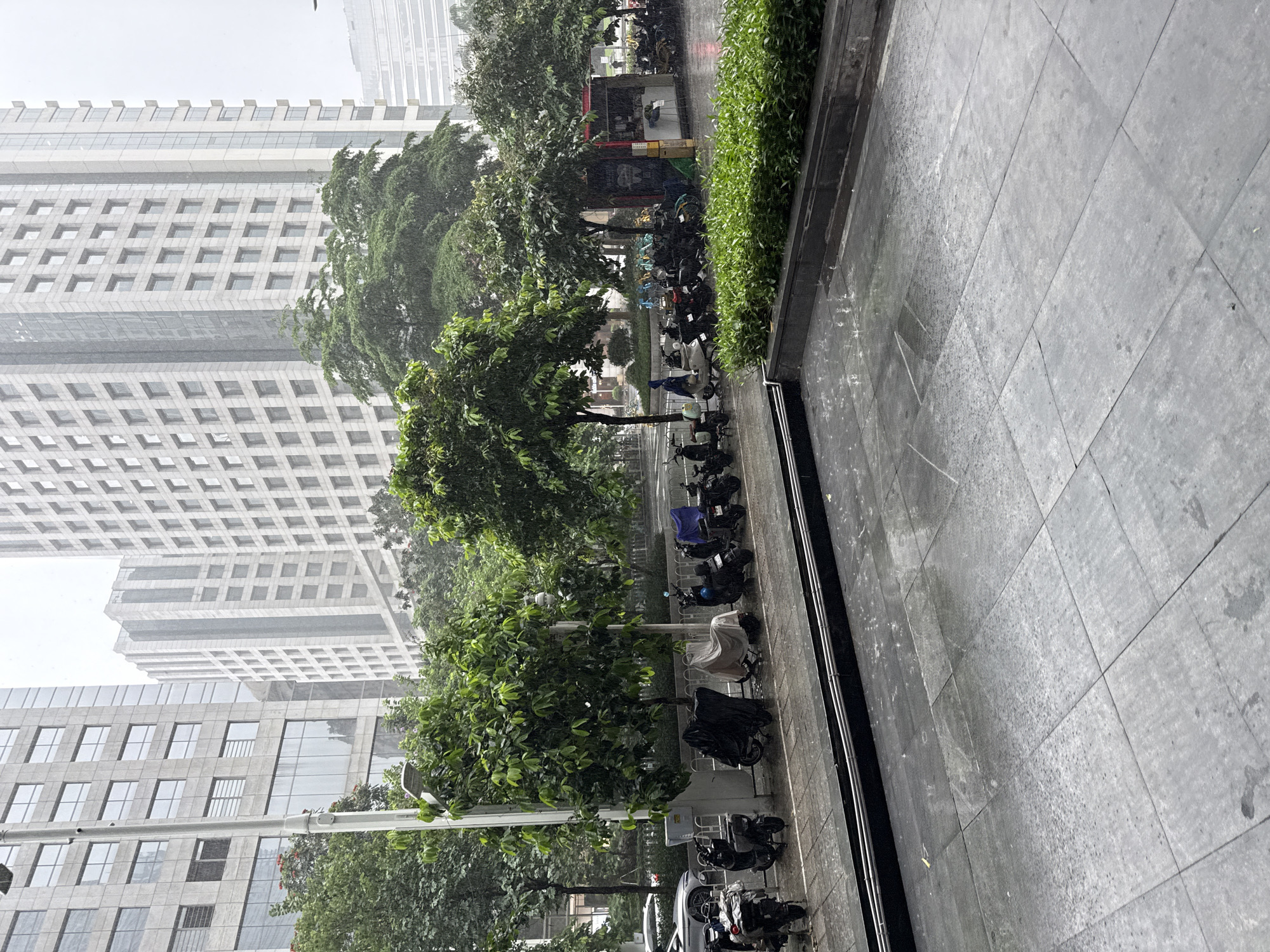 This media file depicts an outdoor scene in Tianhe District, China. The primary subjects are a row of parked motorcycles and scooters lined up along a tiled walkway. Behind the parked vehicles, lush green trees form a natural barrier, with a dense hedge running along the edge of the walkway. In the background, a modern cityscape is visible, with tall, multi-story buildings featuring numerous windows.
The weather appears to be rainy, with visible droplets in the air and on the ground, suggesting a wet and possibly overcast day. The time of day is not explicitly indicated, but the overcast conditions and wet pavement are consistent with daylight hours during rain. The scene evokes a sense of urban life, with a practical arrangement for vehicle parking adjacent to a green space, set against a backdrop of contemporary architecture. No people are clearly visible, nor are there any obvious signs of activity beyond the parked vehicles. The focus is on the static elements of the urban environment under rainy conditions.