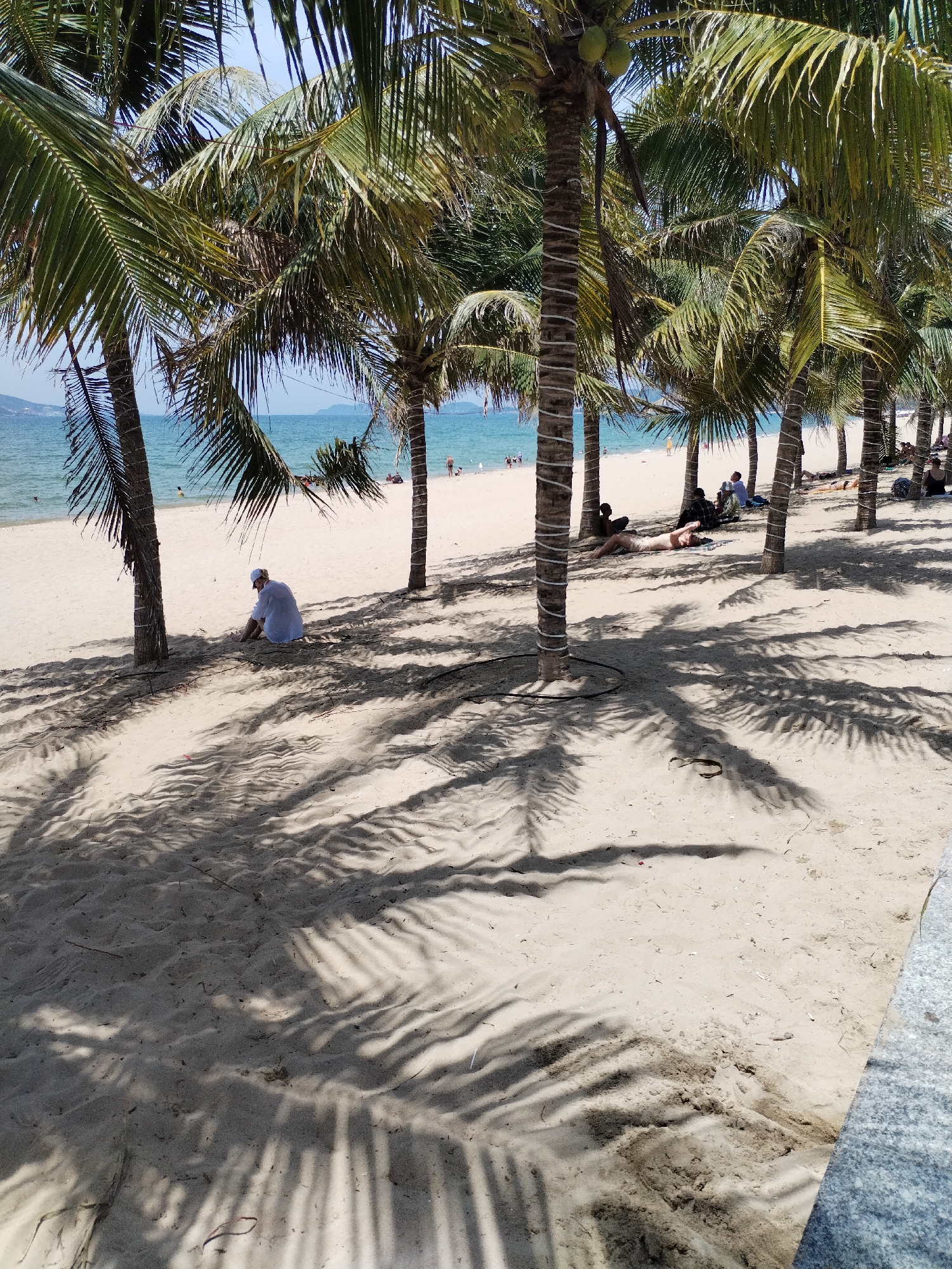 The image depicts a sunny beach scene in Nha Trang Ward, Vietnam, with numerous palm trees lining the sandy shore. In the foreground, a person wearing a white outfit and a hat sits facing away from the camera, with their back to the ocean. The sand is dappled with the shadows of palm fronds, creating a textured pattern. In the middle ground, several other individuals are visible on the beach, some lying down and others sitting. The ocean stretches out in the background, appearing calm and blue, with a few distant landmasses on the horizon. The overall atmosphere is one of relaxation and leisure under the tropical sun.