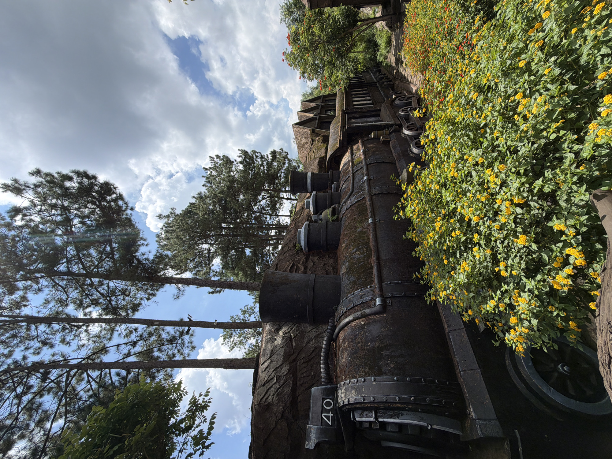 This is a close-up, eye-level, outdoor, daytime photograph taken in Da Lat, Vietnam. The scene features the front portion of a dark, weathered, antique-style steam locomotive, distinguished by the number "40" on its side. The locomotive is situated on a track, partially obscured by dense, vibrant green foliage dotted with clusters of small yellow flowers. Behind the locomotive, a row of connecting train cars with thatched roofs and dark windows is visible, blending into a background of trees and a bright, cloudy sky. The overall impression is one of an abandoned or themed historical exhibit in a lush, natural setting.