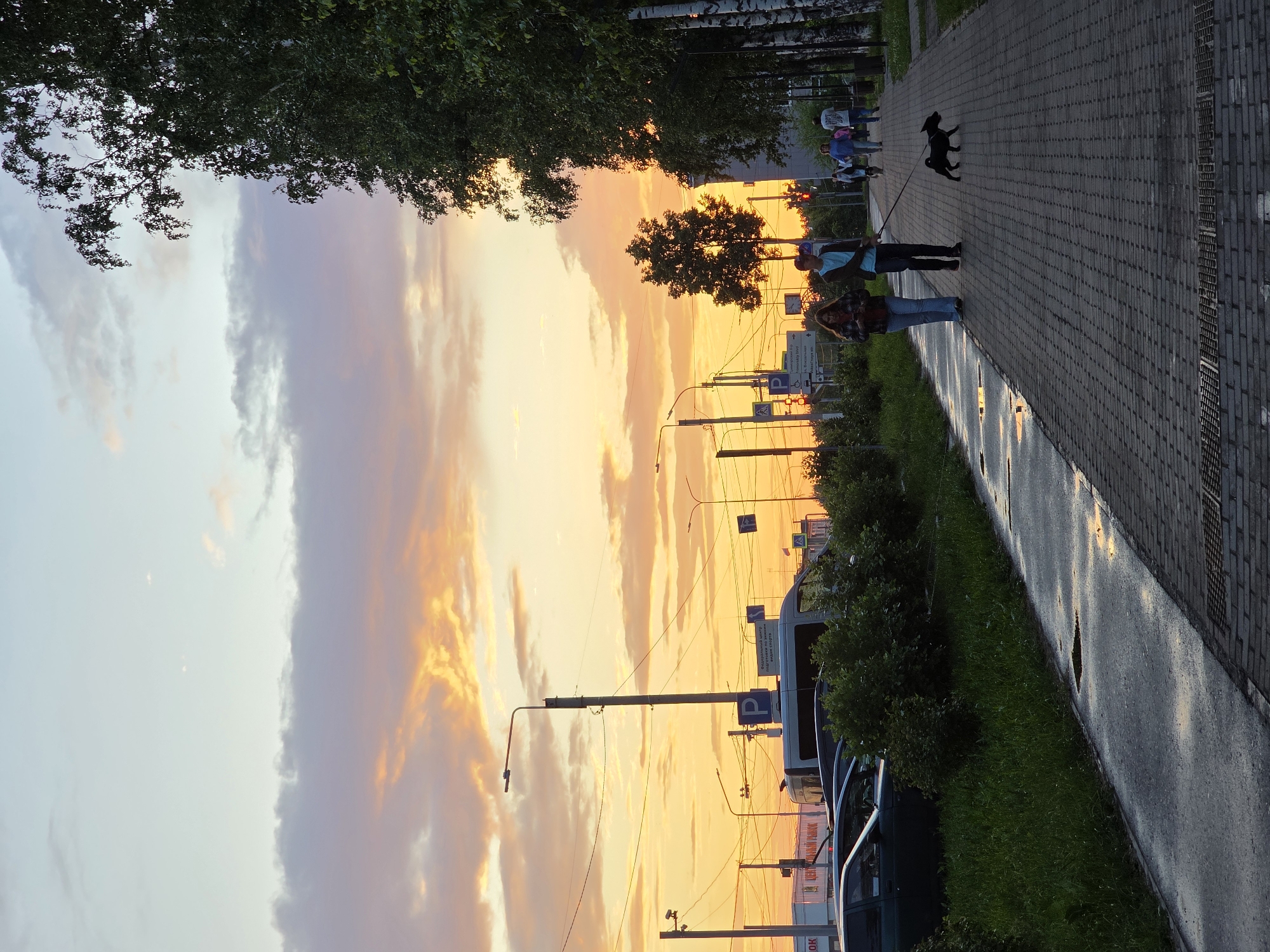 This is a photograph taken during sunset in the city of Chaikovsky, Russia. The sky is filled with hues of orange, yellow, and purple clouds. In the foreground, a paved walkway runs parallel to a grassy area and a parking lot. Several cars are parked in the lot, and a white van is visible. A group of people are walking on the walkway. Two individuals are walking a small black dog on a leash. Other pedestrians are further down the path. Trees line the right side of the walkway, casting shadows. Streetlights and utility poles are present throughout the scene, indicating an urban or suburban setting. The walkway appears wet in places, suggesting recent rain.