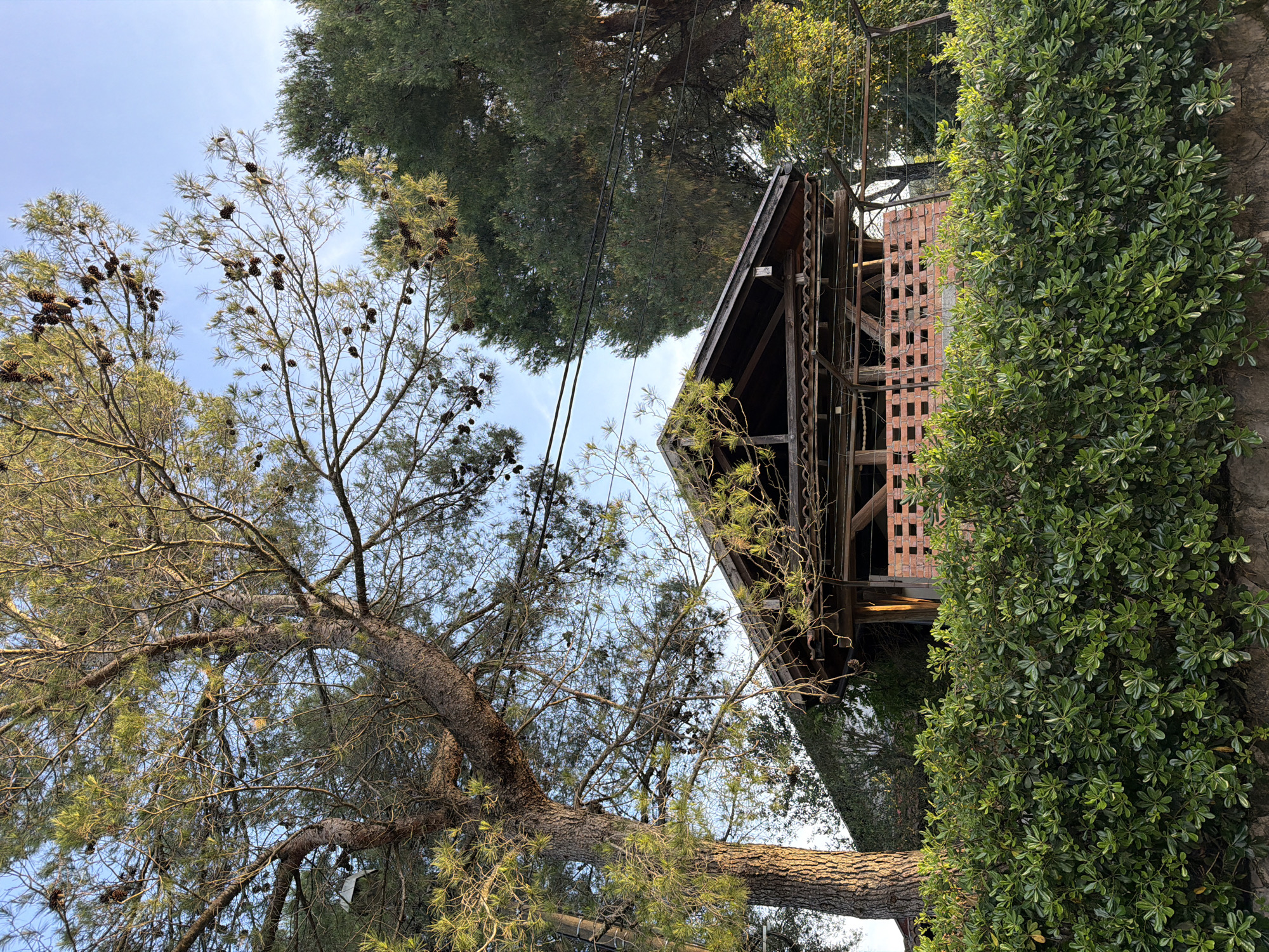 The image, taken in Krašići, Montenegro, shows a tree with pinecones, foliage, a wooden structure, and a brick wall. The camera is pointed upwards towards the sky, which is visible in the gaps between the trees and the structure. Power lines cut across the sky. The wooden structure features exposed beams. The brick wall has a grid pattern.