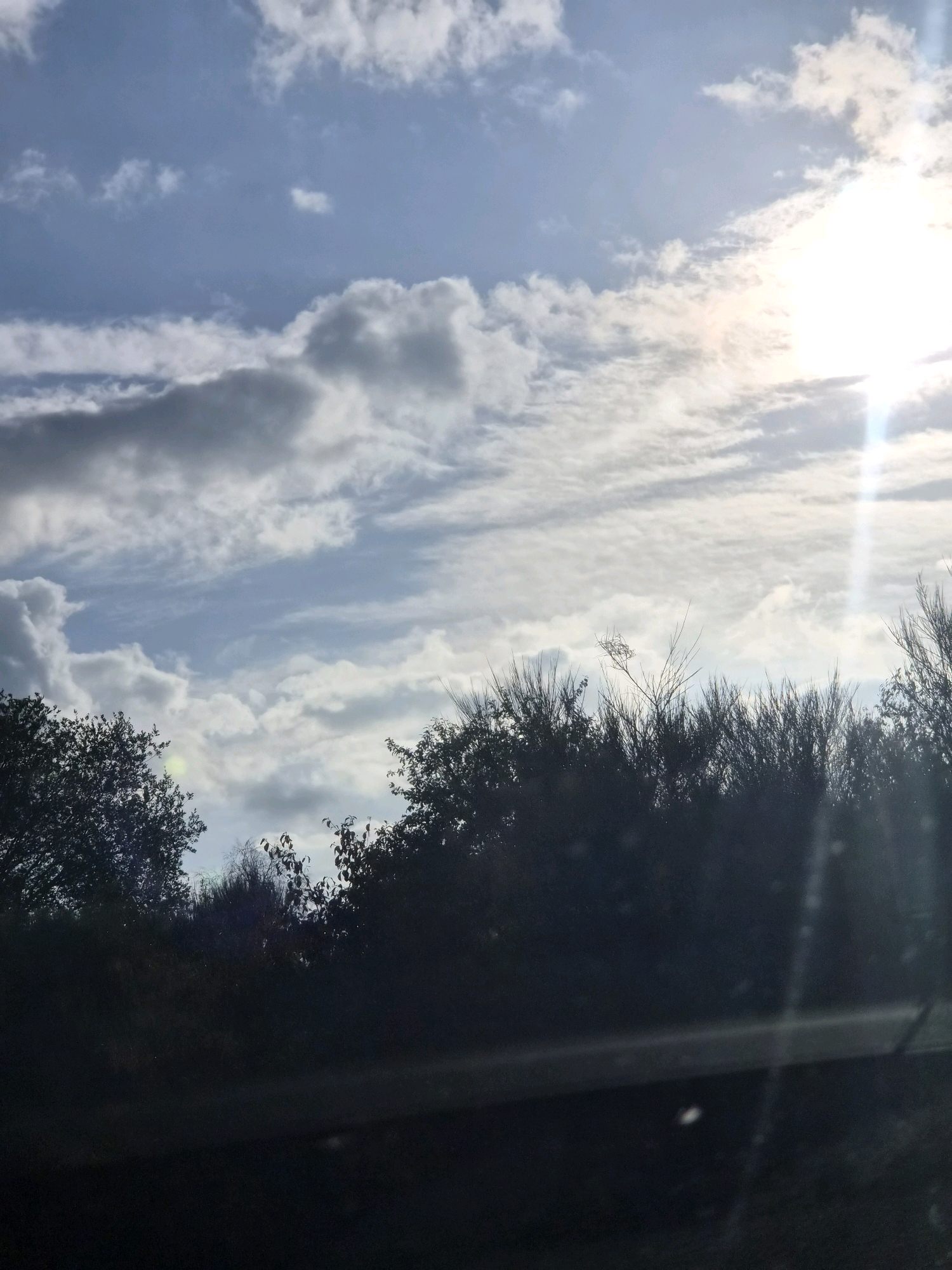 The image captures a sky filled with a mixture of white and grey clouds, with the sun partially obscured by them, creating a bright, diffused light. A distinct lens flare or sunbeam extends from the upper right corner downwards. The lower portion of the image is dominated by dark silhouettes of trees and vegetation, suggesting an outdoor natural environment. The scene is observed from what appears to be a moving vehicle, indicated by a faint horizontal line and some blurred reflections or smudges on the lower part of the frame, possibly on a windshield. The setting is likely a roadside or a natural area adjacent to a road in or near Leudelange, Luxembourg.