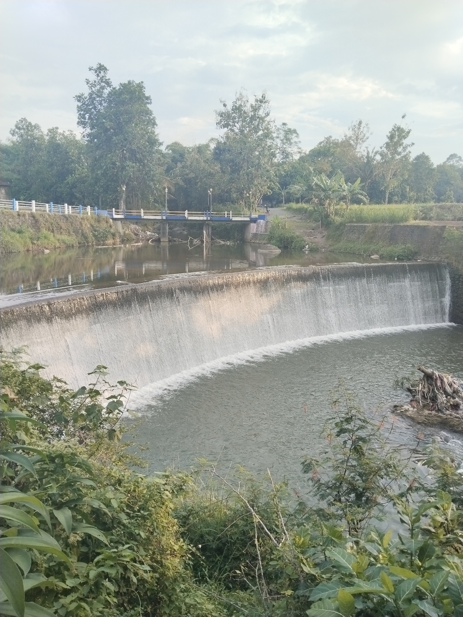 This media file captures a serene, natural landscape featuring a wide weir and a bridge over a river, likely located in Gantiwarno, Indonesia. The central focus is a man-made waterfall created by a long, concrete weir that spans the width of the river. Water flows smoothly and consistently over the entire length of the weir, creating a sheet-like waterfall that falls into the calmer river section below.
Above the weir, the river water appears still, reflecting parts of the cloudy sky and distant trees. A blue and white railing-lined bridge crosses the river further upstream from the weir, with lampposts visible along its length. A road or path leads to and from this bridge, and a very faint, distant shape suggesting a motorbike can be vaguely seen on the bridge.
The scene is surrounded by lush green vegetation. Dense trees and shrubs line both banks of the river, with prominent foliage in the foreground. The sky is bright but overcast with diffused clouds, suggesting either early morning or late afternoon light, contributing to a soft and tranquil atmosphere. No identifiable people are prominently visible in the image. There is no visible text.