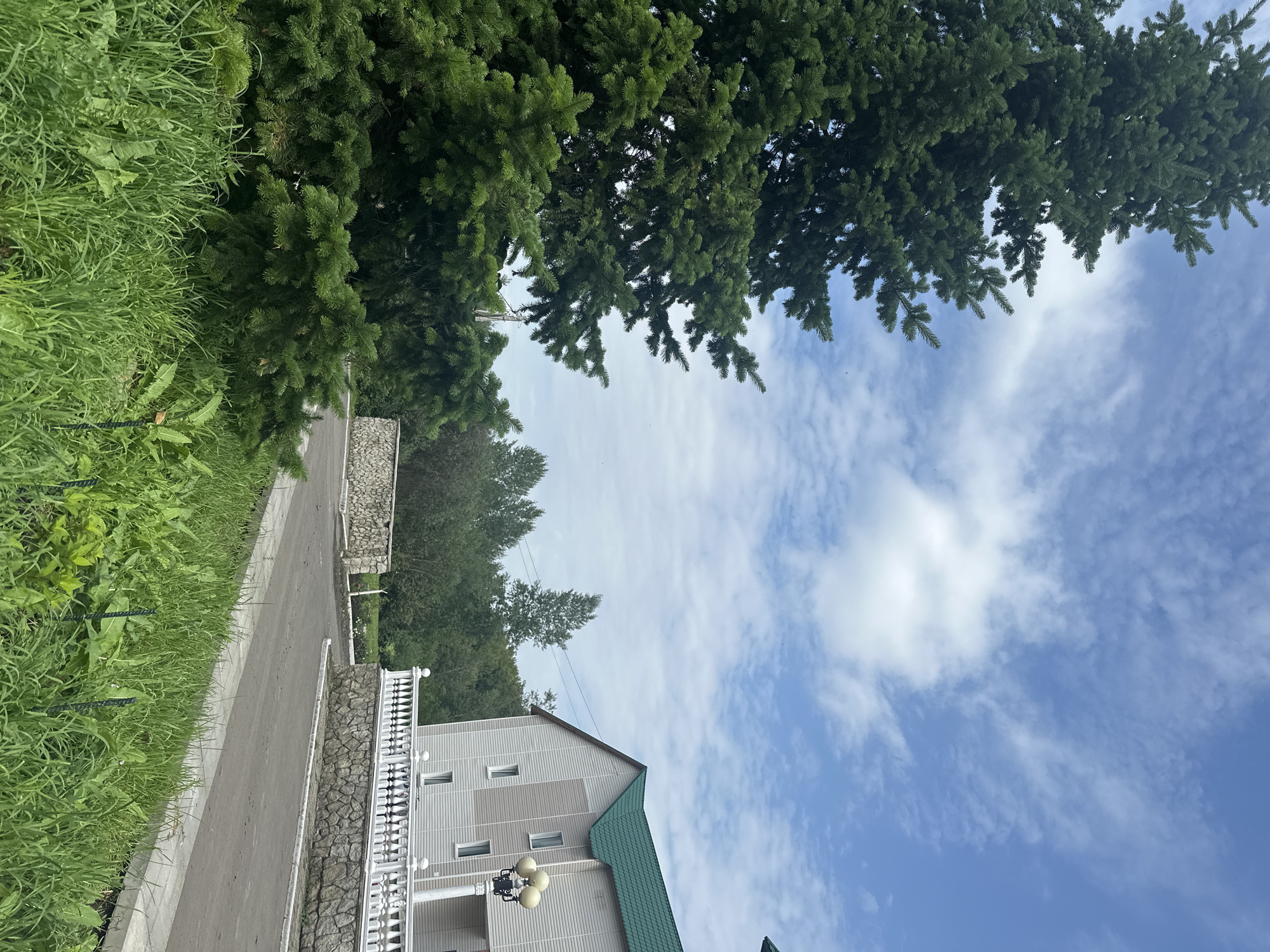 The image depicts a scene in a rural or suburban area, possibly the city of Danilovka (Altai), Russia. In the foreground, there is lush green grass and vegetation. To the left, a large evergreen tree dominates the frame, with its branches extending towards a blue sky scattered with white clouds. In the mid-ground, a paved road curves to the right, bordered by a low stone wall topped with a decorative white balustrade. A modern building with a light-colored facade and a green roof is visible on the right side of the road. This building features several windows and an ornate lamppost with multiple globes. The background consists of a dense line of trees. The overall atmosphere is tranquil and bright, suggesting a daytime setting under a partly cloudy sky.