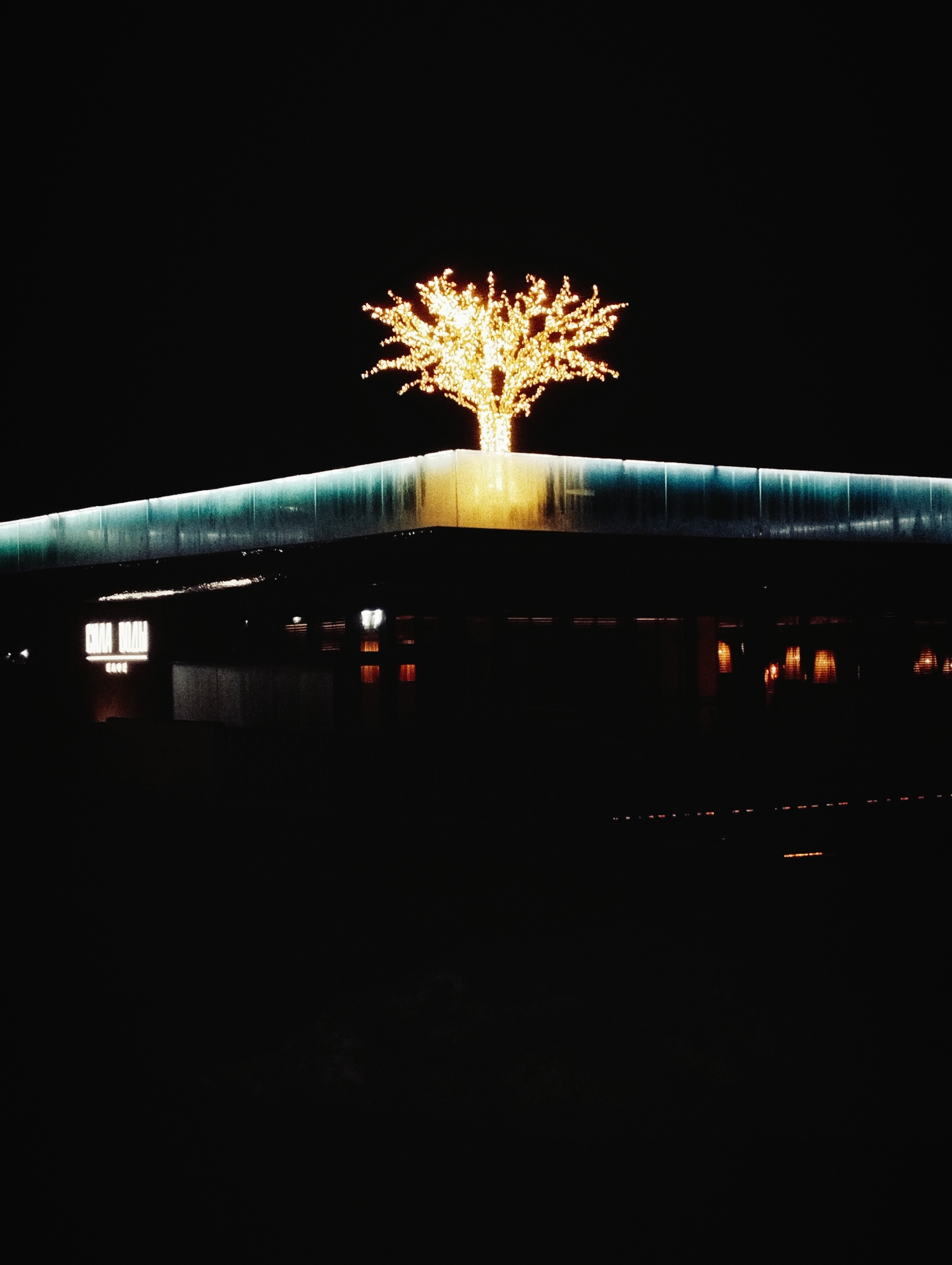 A nighttime view of a building with a brightly lit artificial tree on the roof. The tree is composed of numerous small lights. Part of the building features what appears to be a glass facade. A sign reading "CHINA DREAM CAFE" is visible on the building. The environment is dark. The location is in the city of Unknown, Unknown.