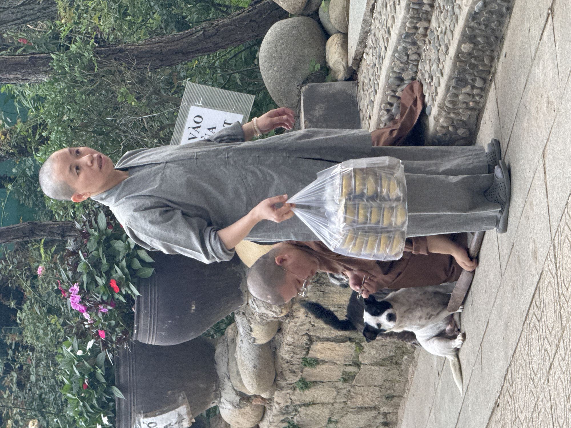 In Da Lat, Vietnam, two individuals, likely monks or nuns based on their attire, are present on a paved walkway adjacent to a stone wall and lush greenery. One, with a shaved head, stands upright, wearing a grey robe and holding a clear plastic bag filled with yellow food containers. The other, also with a shaved head and wearing glasses, is seated and wearing a brown robe. A black and white dog sits attentively near the seated individual. Large, dark planters filled with vibrant pink and red flowers are visible in the background, contributing to the serene, garden-like atmosphere. A sign with Vietnamese script, "VÀO CỬA," indicating "Entrance," is posted on a metal frame near the standing individual. The ground surface transitions from a smooth paved area to a path of small stones, leading up a set of stone steps.