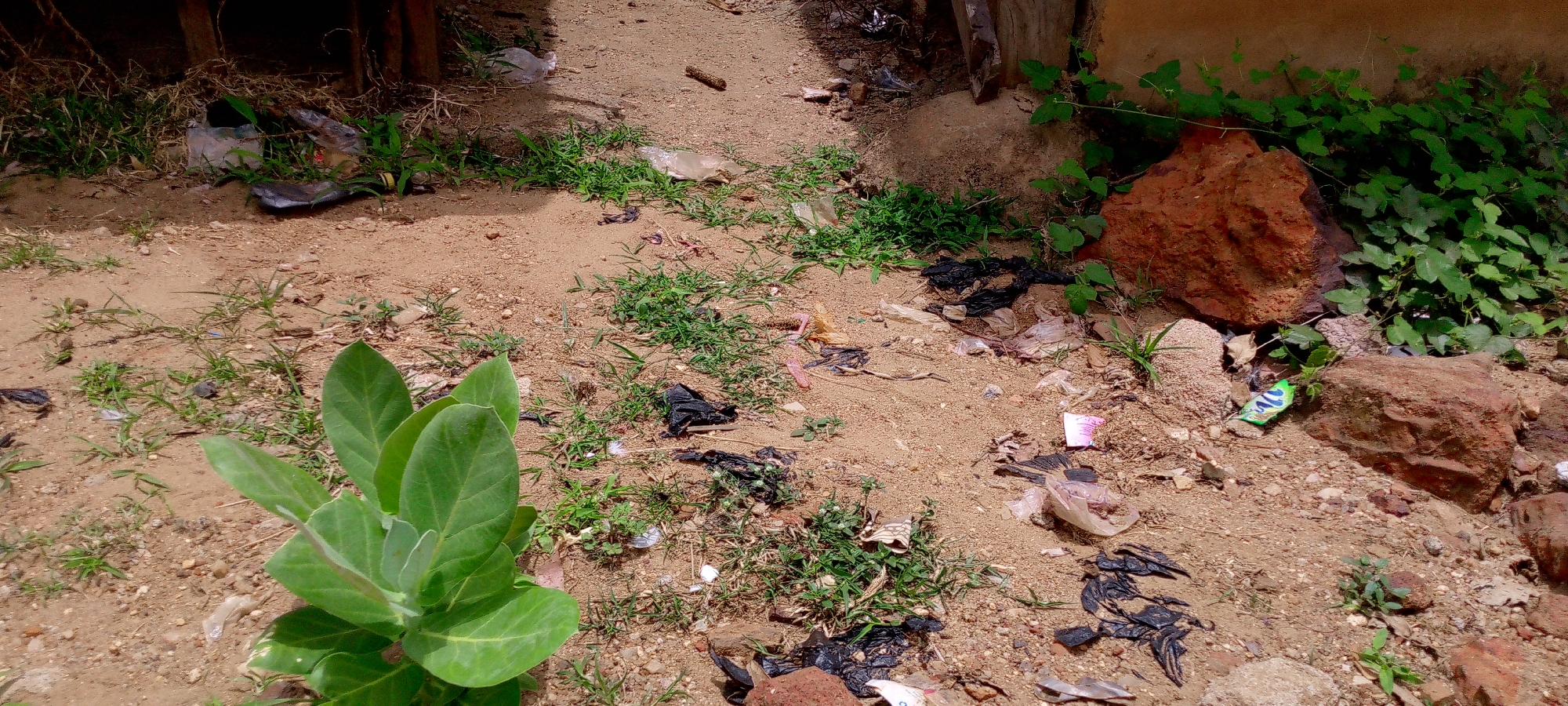 The scene depicts an outdoor area in Adankolo, Nigeria, characterized by sandy soil and scattered vegetation. The ground is littered with various types of trash including black plastic fragments, plastic bags, and wrappers. A green leafy plant grows in the lower-left corner. Two reddish-brown rocks are situated to the right, near an area with more dense green vegetation. A section of a building is visible in the upper-right corner. A few vertical wooden posts are present in the upper-left corner. There are no people visible in the image.
