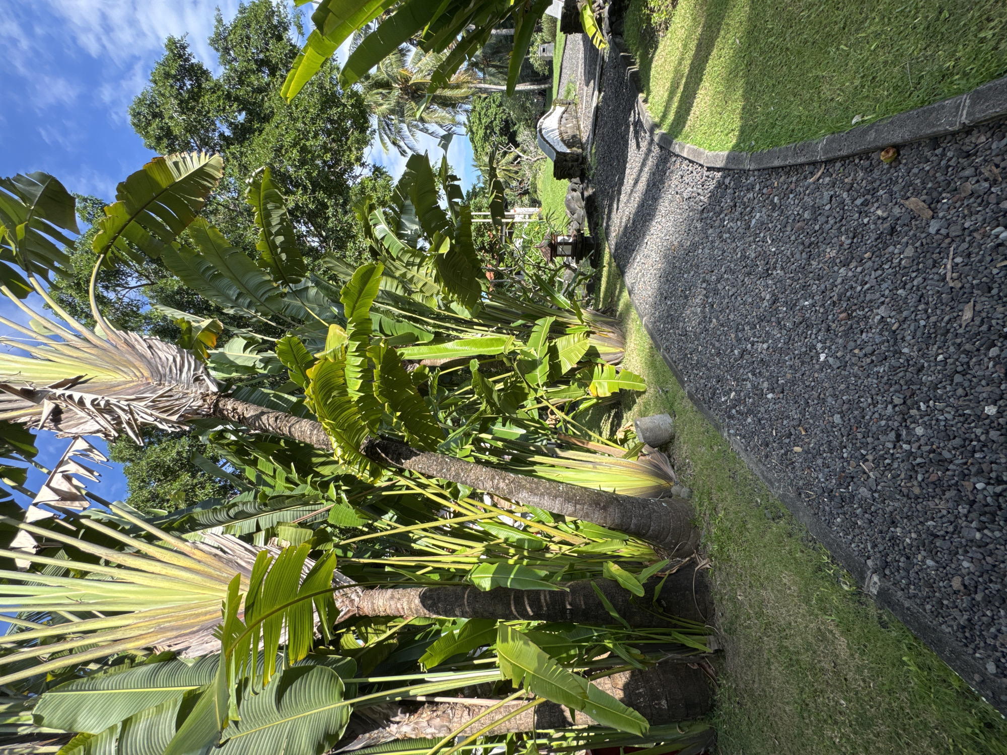 The image shows a gravel path bordered by green grass and a low concrete edge. The path is flanked by dense tropical vegetation, including banana trees, with a few palm trees visible in the distance. In the background, there's a glimpse of a blue sky with white clouds. The scene is located in Kuta Selatan, Indonesia. There are no people visible in the frame. A stone lantern and a decorative structure are seen alongside the path in the distance.