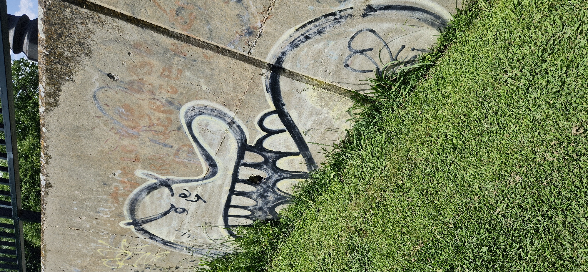 This is a close-up, outdoor, eye-level shot of a concrete wall with graffiti, bordered by lush green grass. The concrete surface is textured and appears weathered, with some patches of moss or discoloration. A diagonal line is scored into the concrete, creating a subtle division. The graffiti on the wall is abstract and done in black spray paint with white and yellow accents. One prominent piece of graffiti resembles a stylized, elongated creature or design with rounded shapes and openings. Faint traces of other, possibly older, graffiti in reddish-brown and yellow are visible underneath the black spray paint. The grass is vibrant and appears to be growing up and over the edge of the concrete structure, partially obscuring the bottom of the graffiti. The scene is well-lit, suggesting it is daytime, and the weather appears to be pleasant and sunny, given the brightness of the grass. There are no people or specific human-made objects other than the graffiti itself and a dark, indistinct object in the upper left corner, possibly part of a structure or pipe. The overall impression is one of an urban or semi-urban environment where nature is encroaching on man-made structures. There is no discernible text in the image.